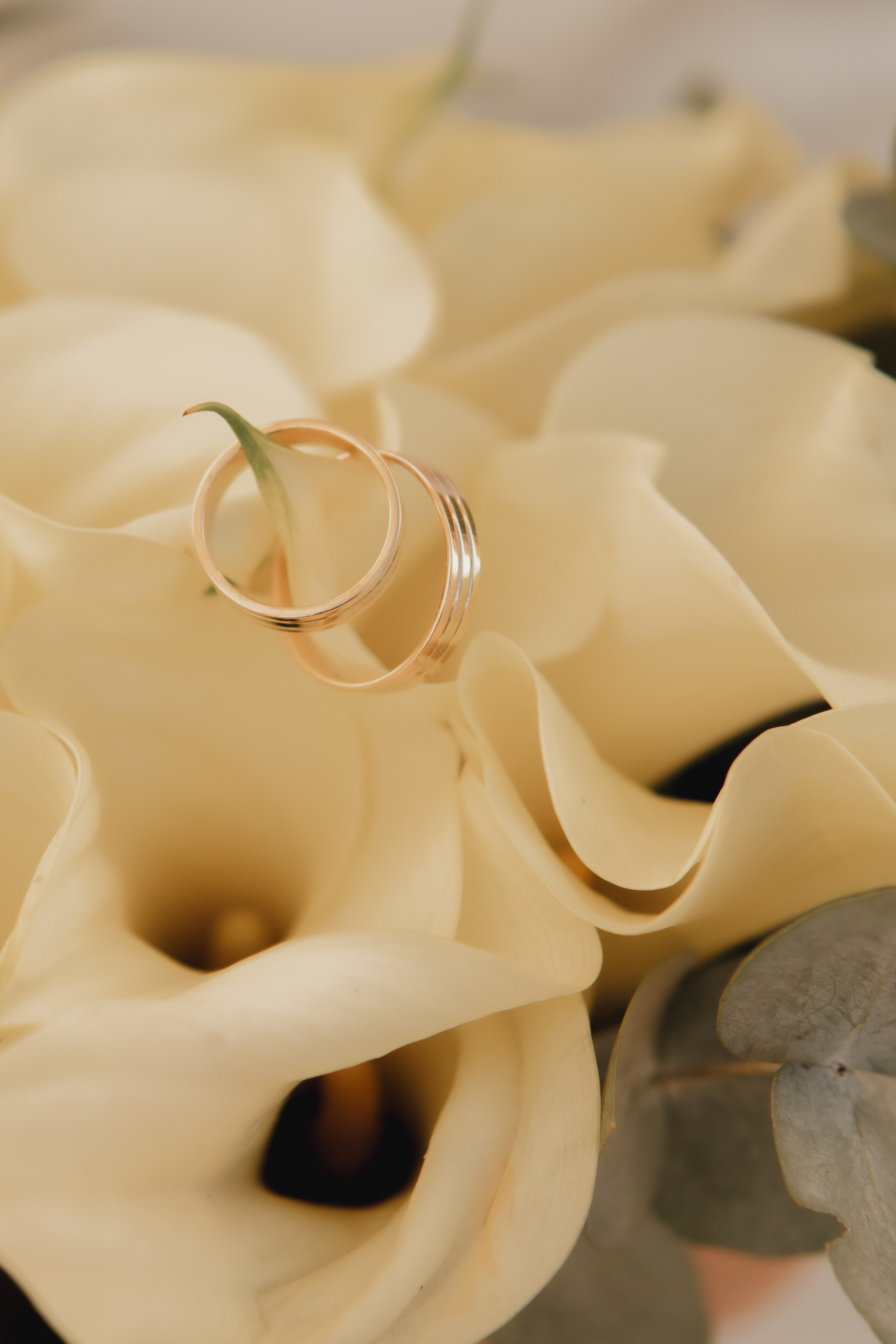 Свадебная прогулка. Мы тонем в лучах нежных объятий. Свадебный и портретный фотограф в Москве, Светлана Янковая