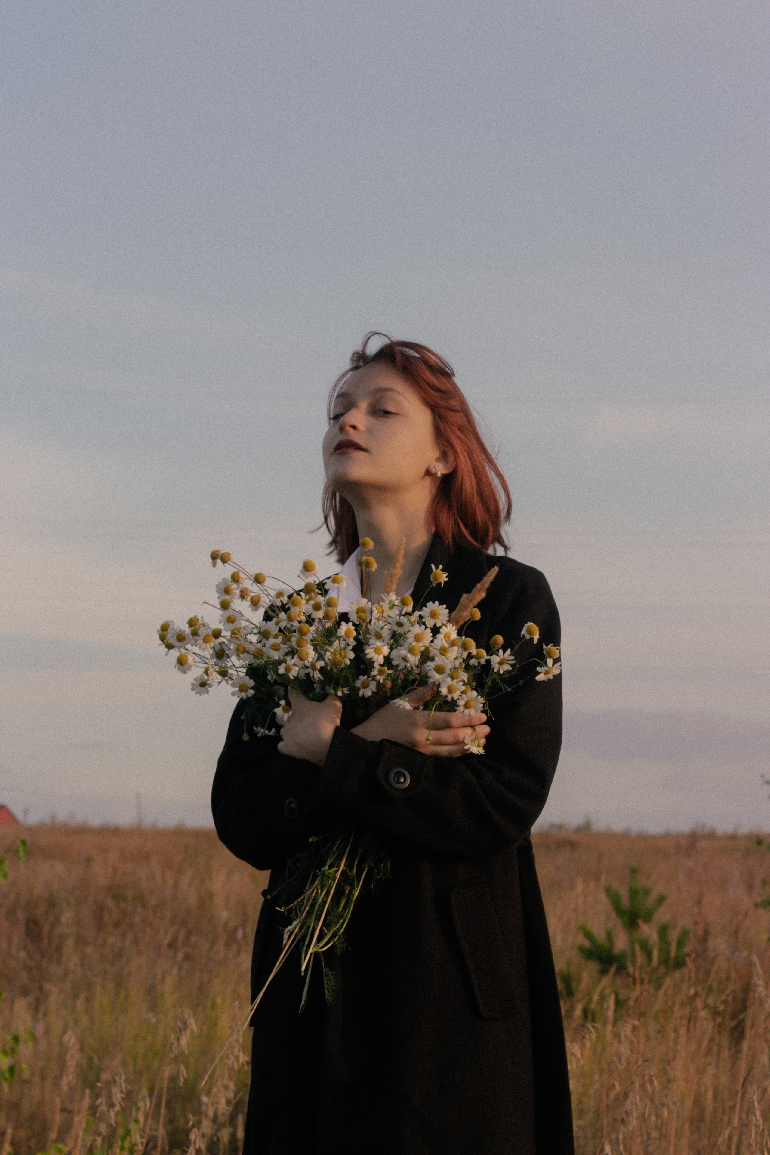 Прогулочные истории. Главная