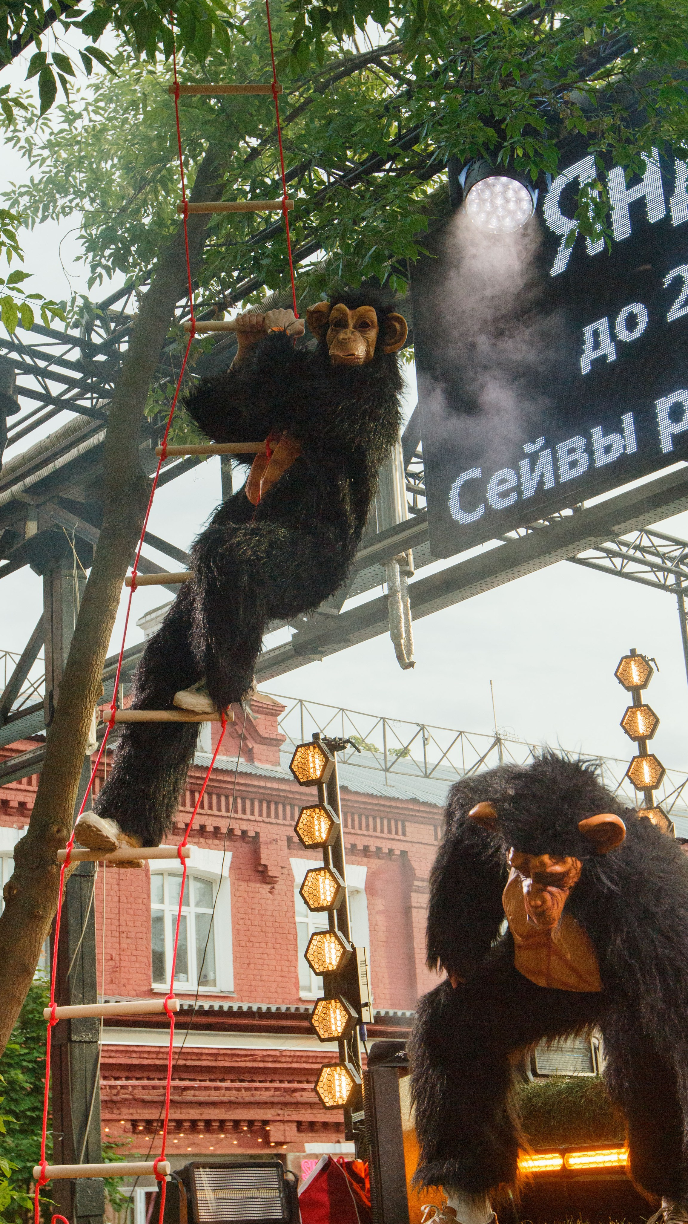 Фотограф Елизавета Трубецкая
