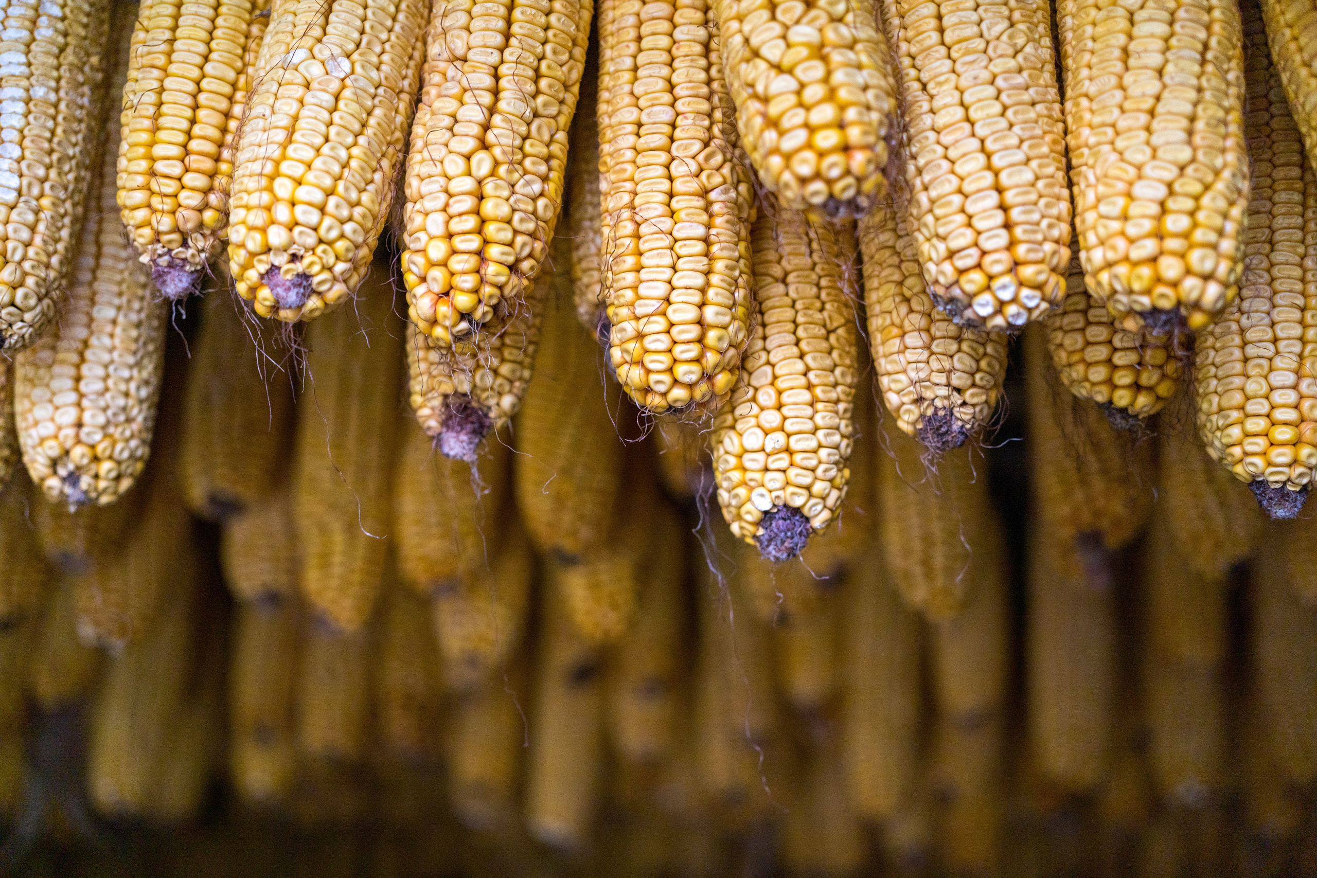 STREET. Репортажный фотограф. Москва