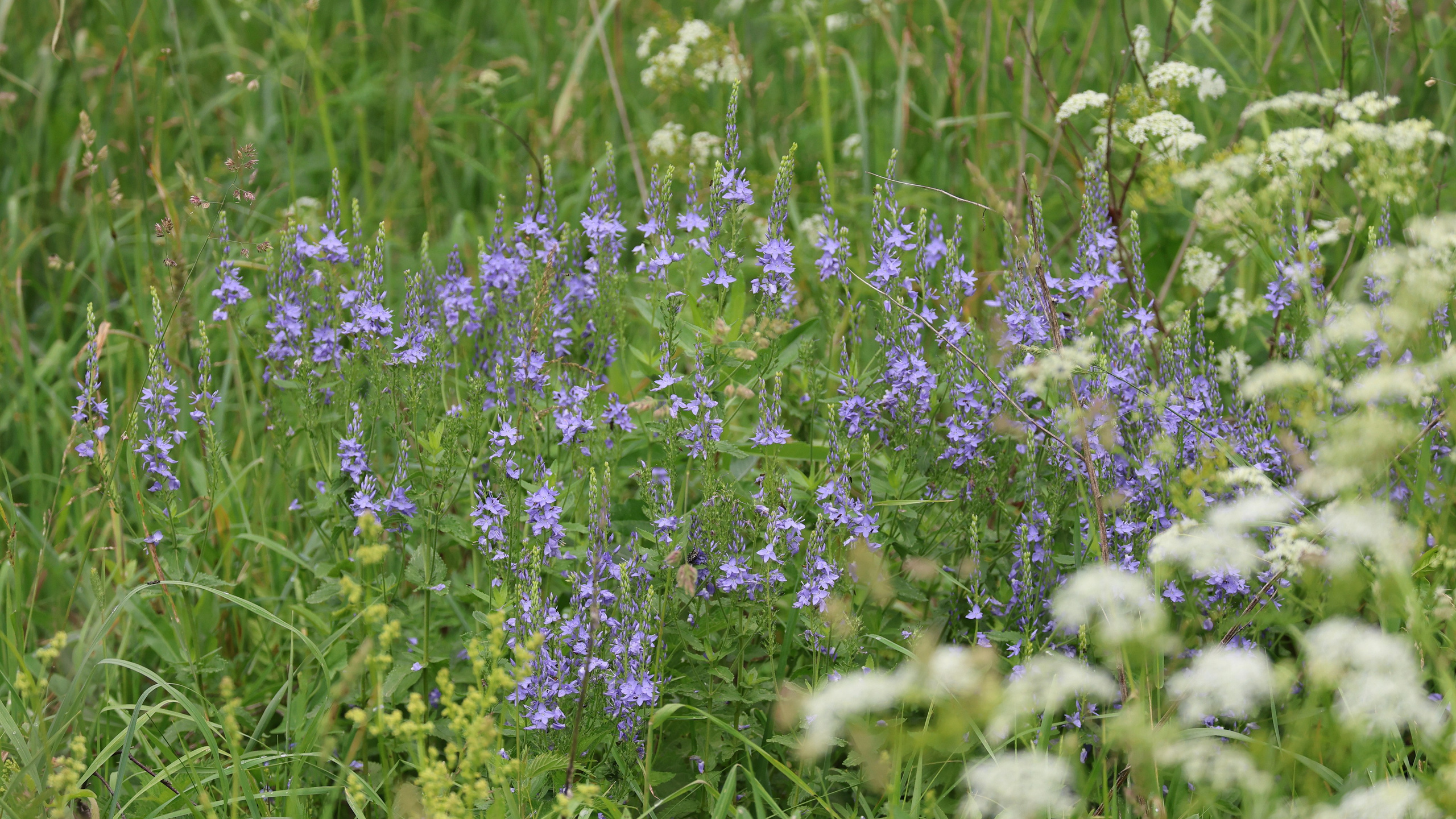 Большой уикенд. Суббота
