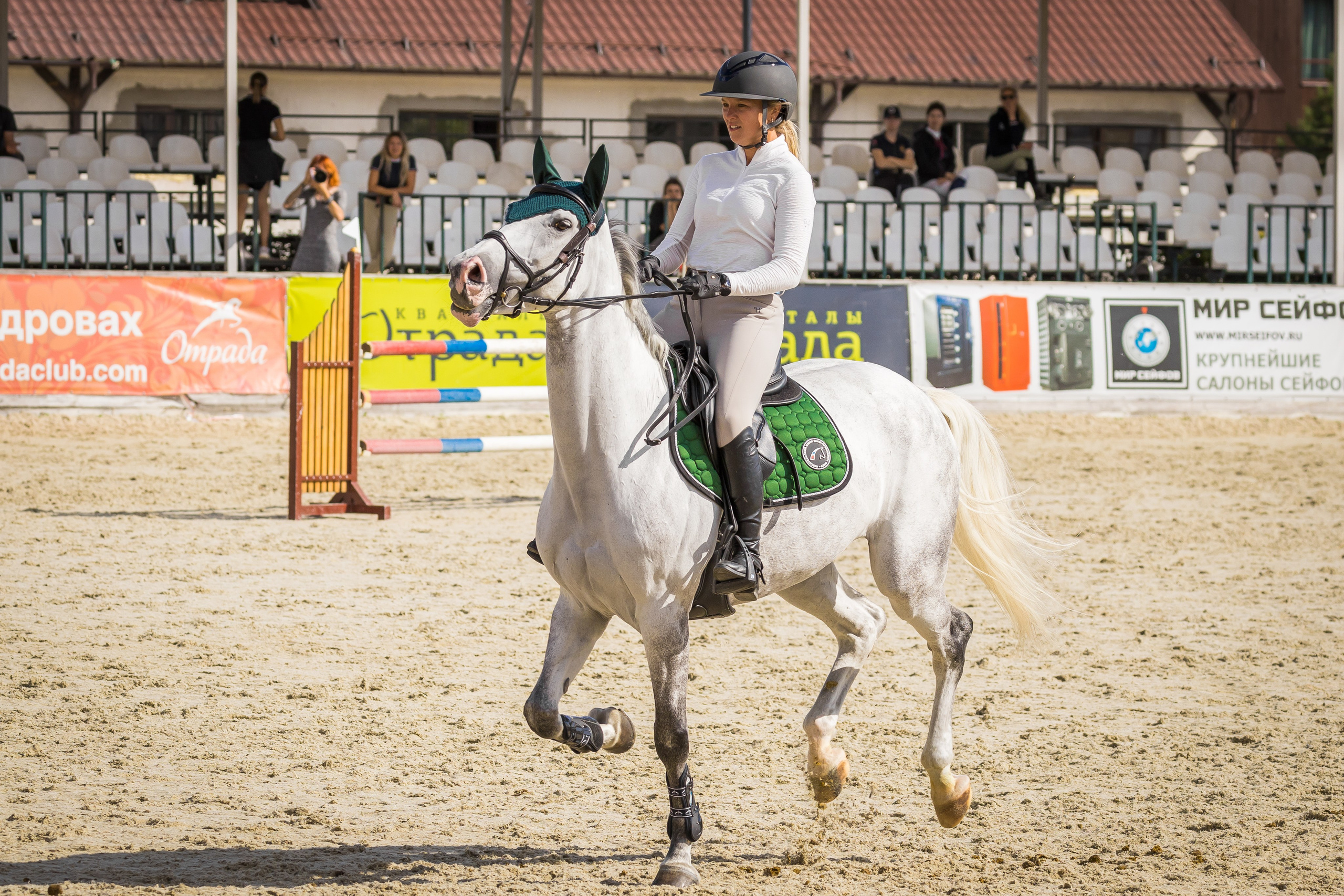 Конный спорт. Photomantis