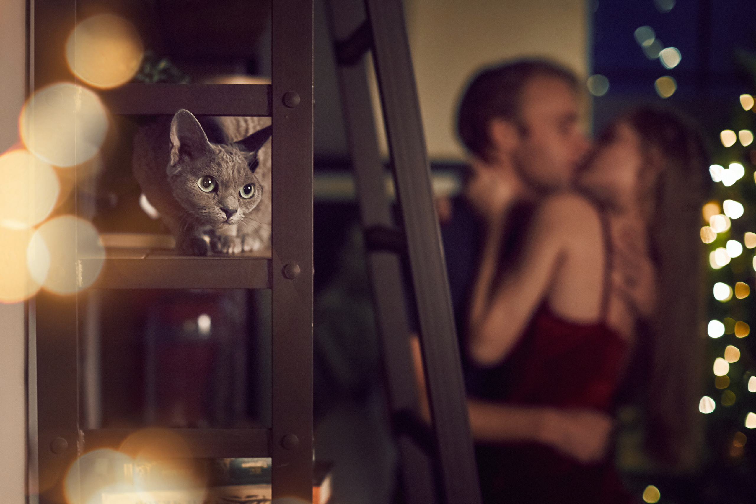 Юля+Саша+Фрайди. Фотограф Контузорова Ольга