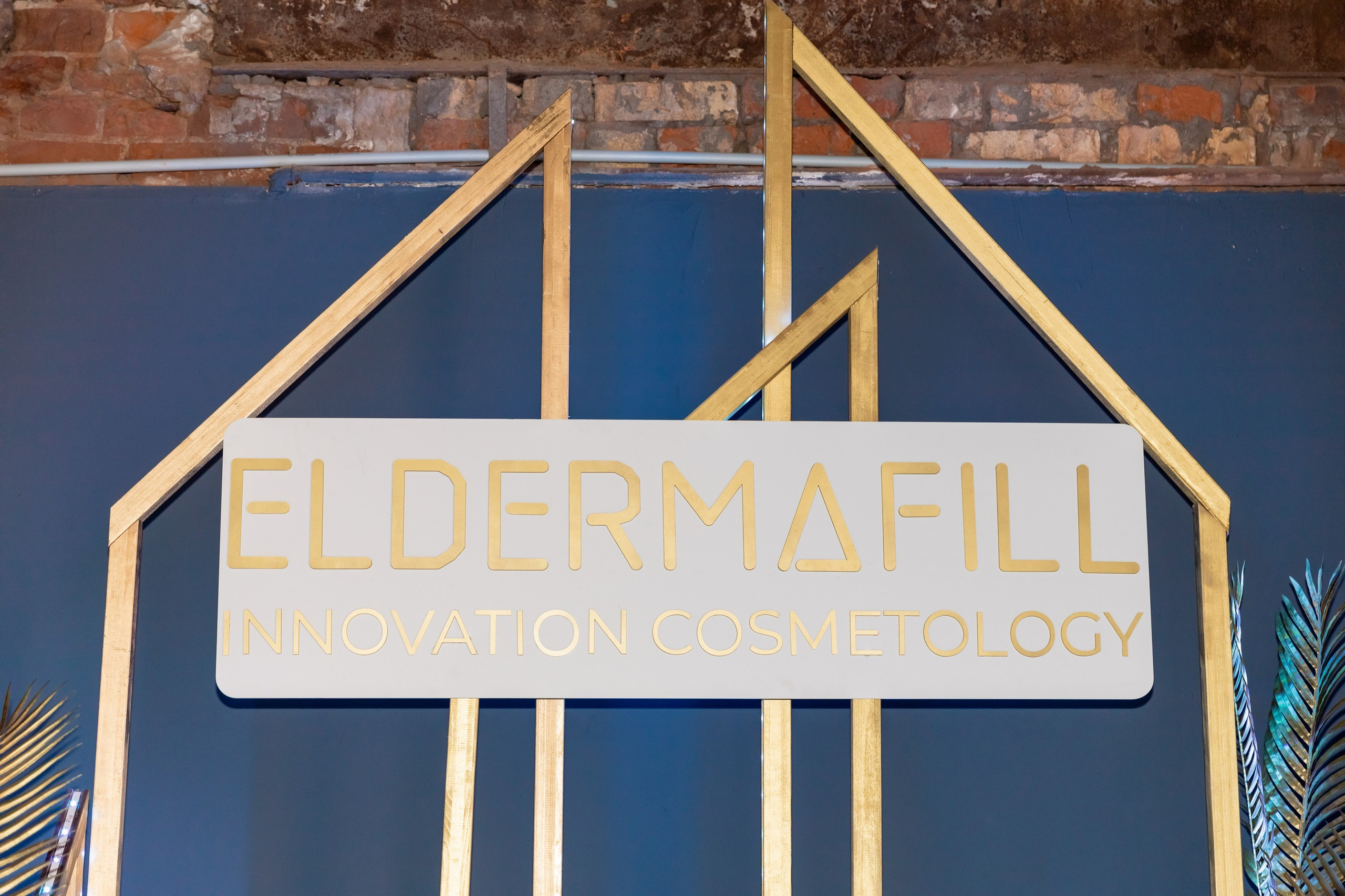 ELDERMAFILL презентация (VLASOV HALL). Татьяна Чернышова свадебный фотограф Москва