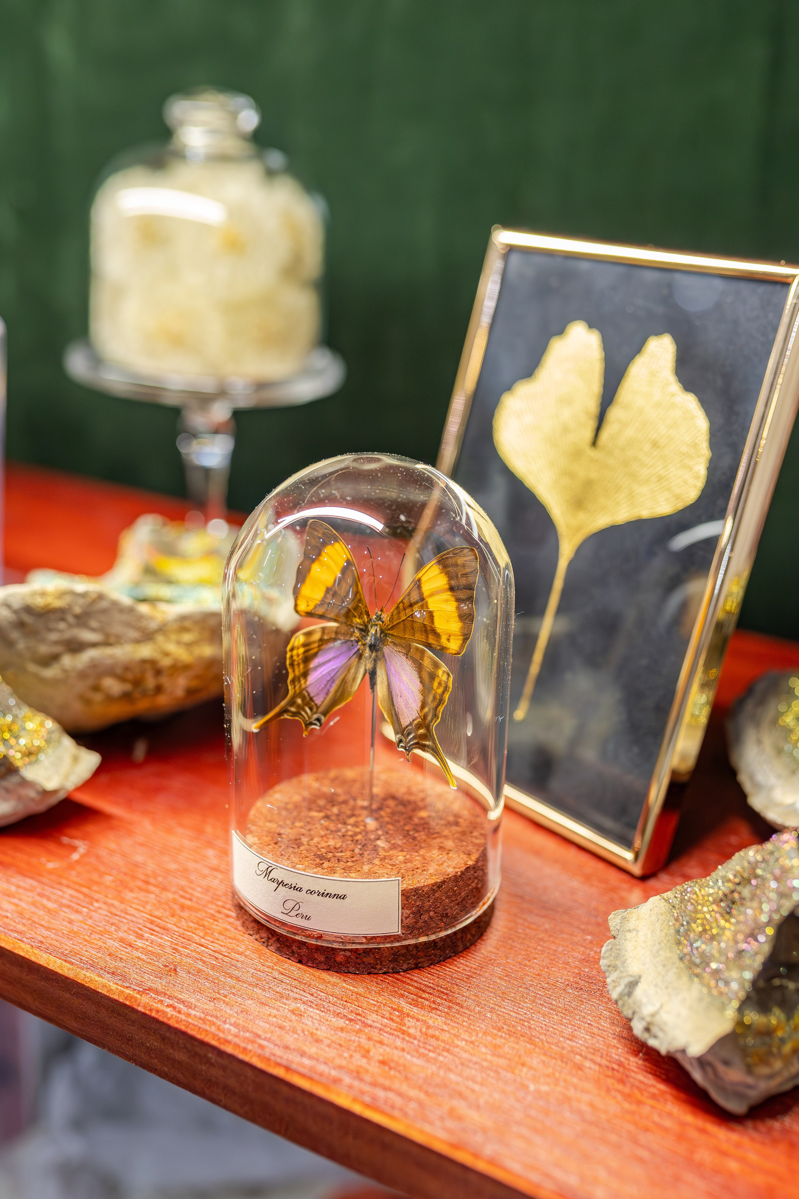 Монстериум апрель 2026. Александра Куликова фотограф, Москва