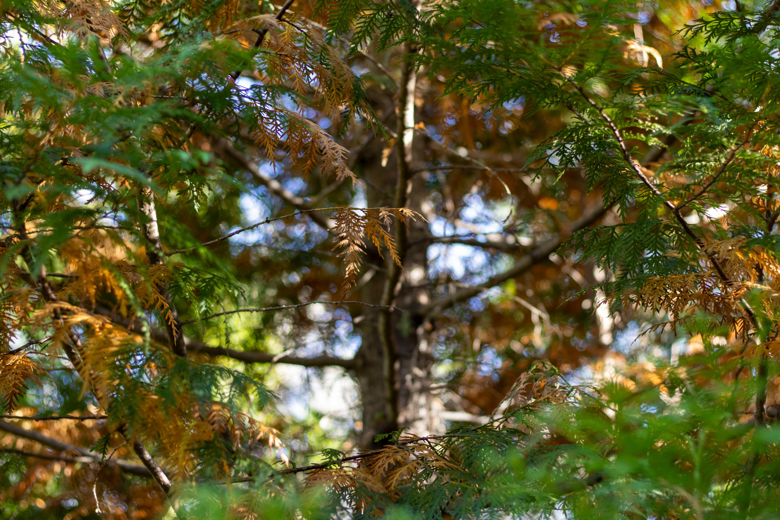 Пейзажи и Природа. Фотограф г. Владивосток