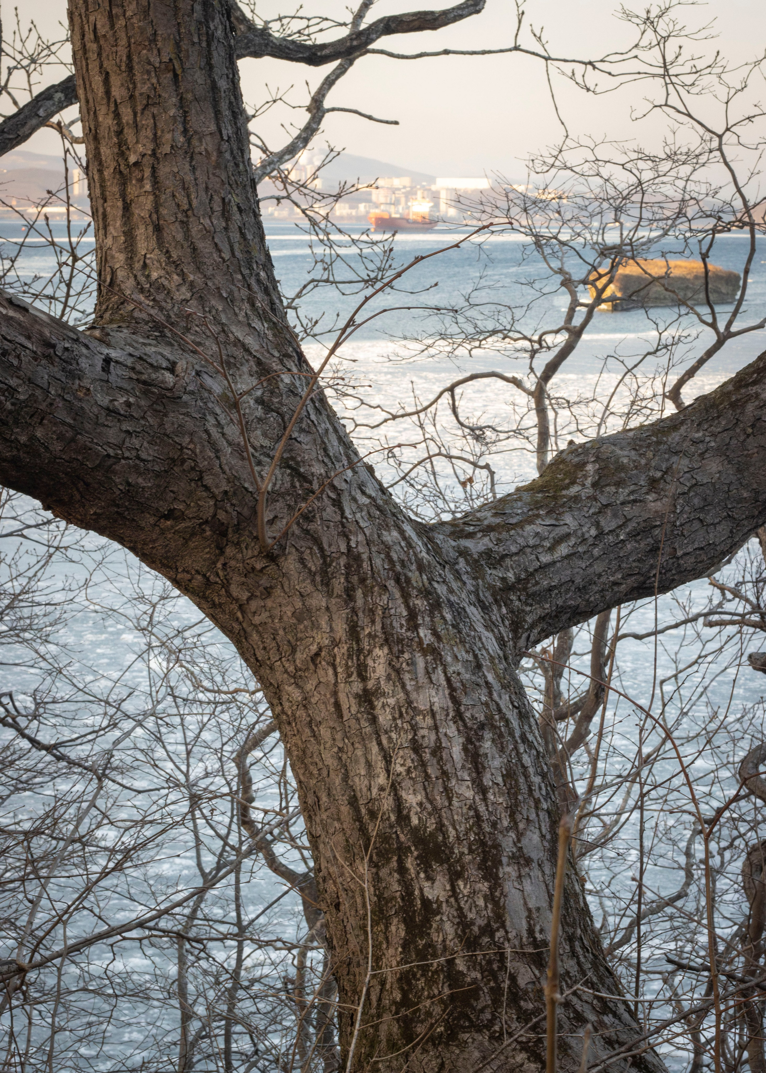 Пейзажи и Природа. Фотограф г. Владивосток