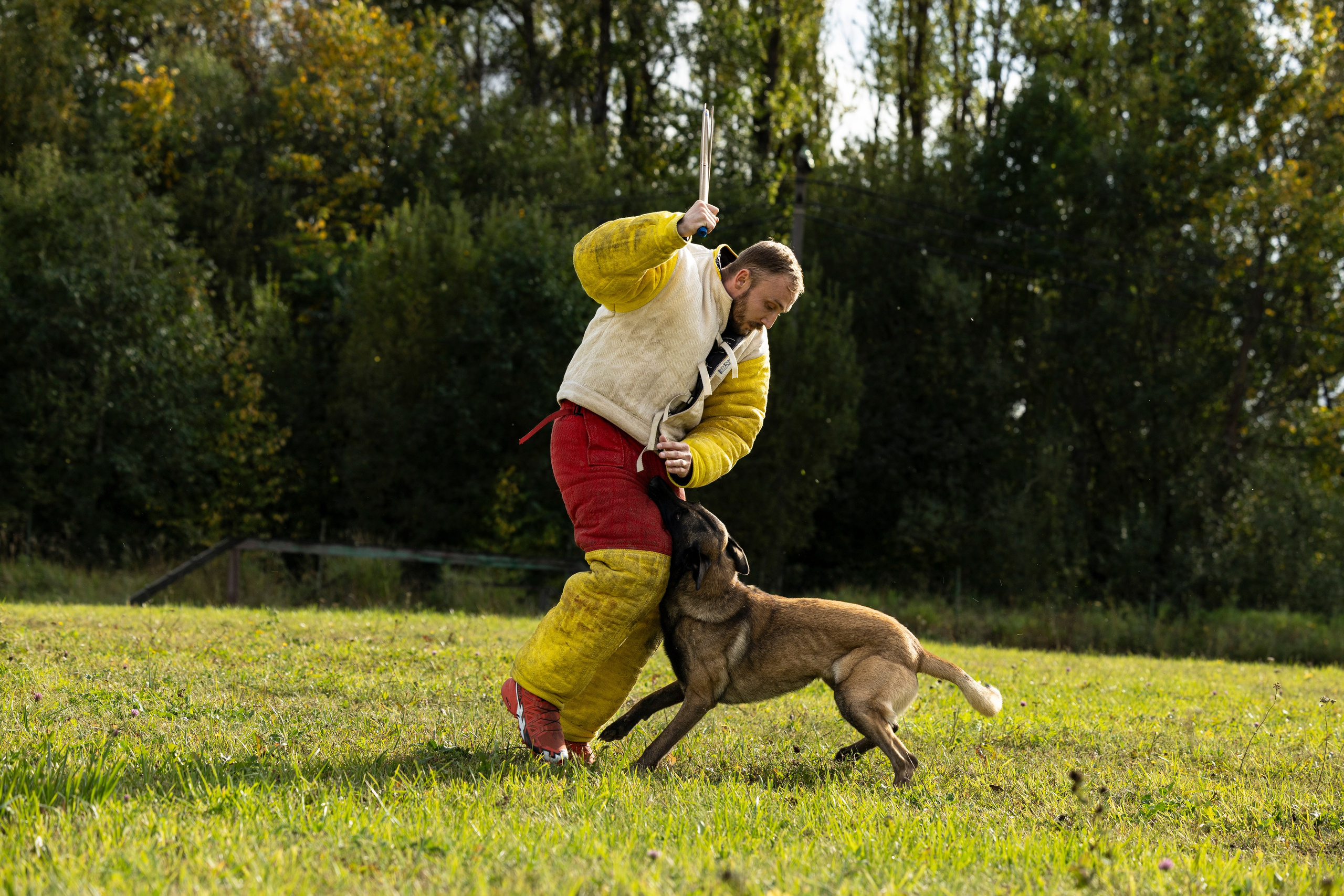 Испытания по Мондьорингу г. Пушкин. Фотограф-анималист Анна Маринич