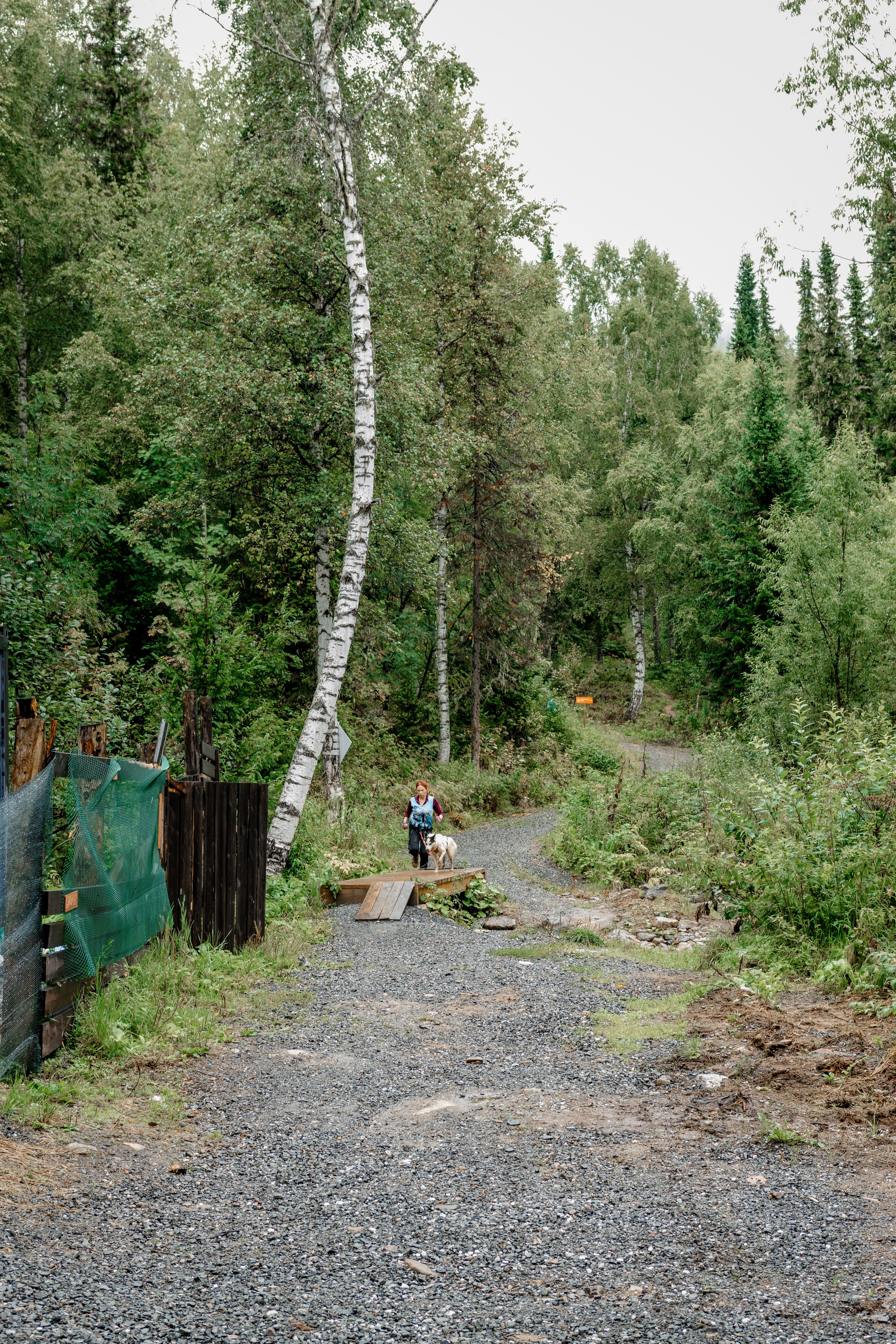 Дог-треккинг