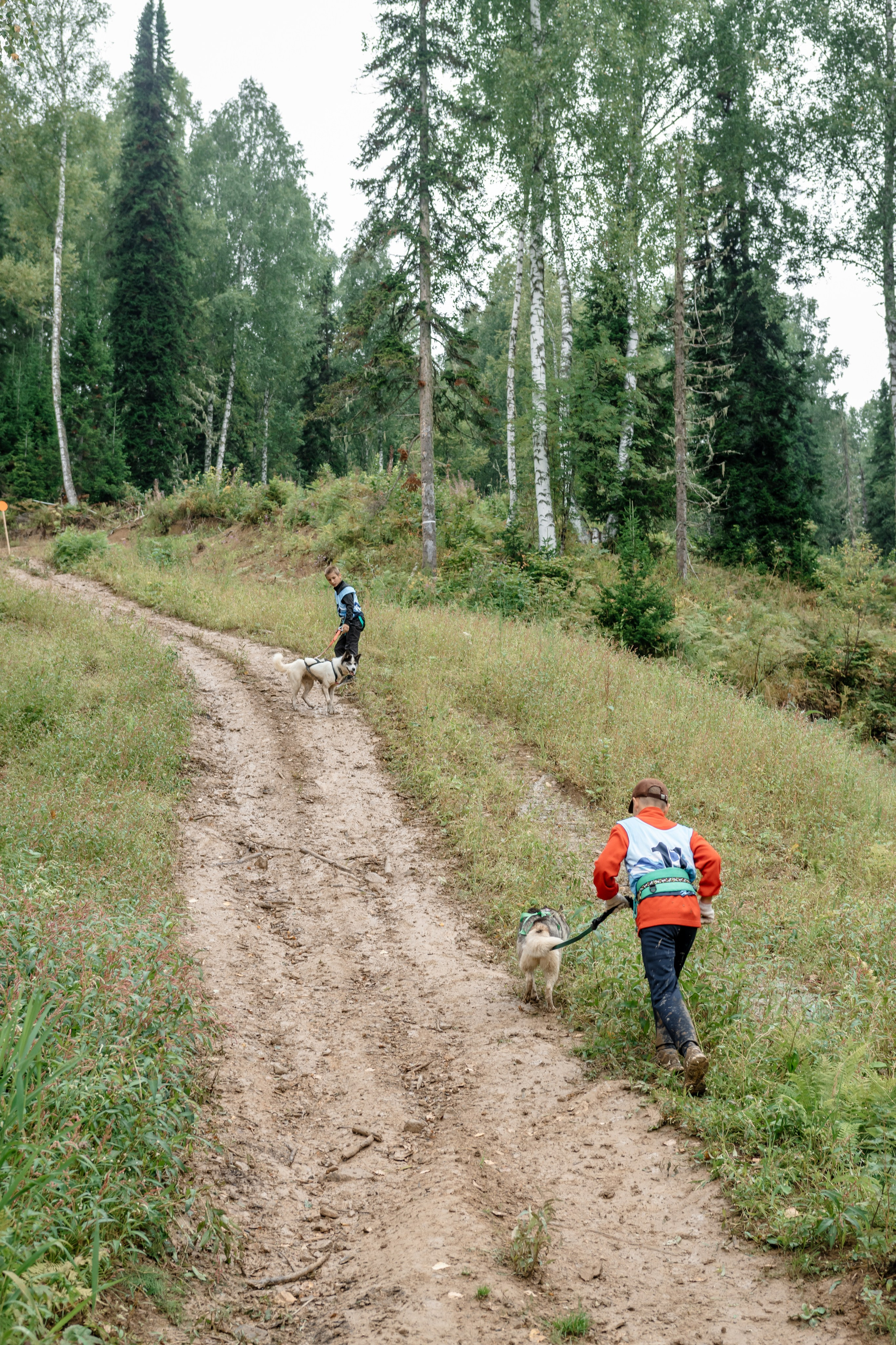 Дог-треккинг