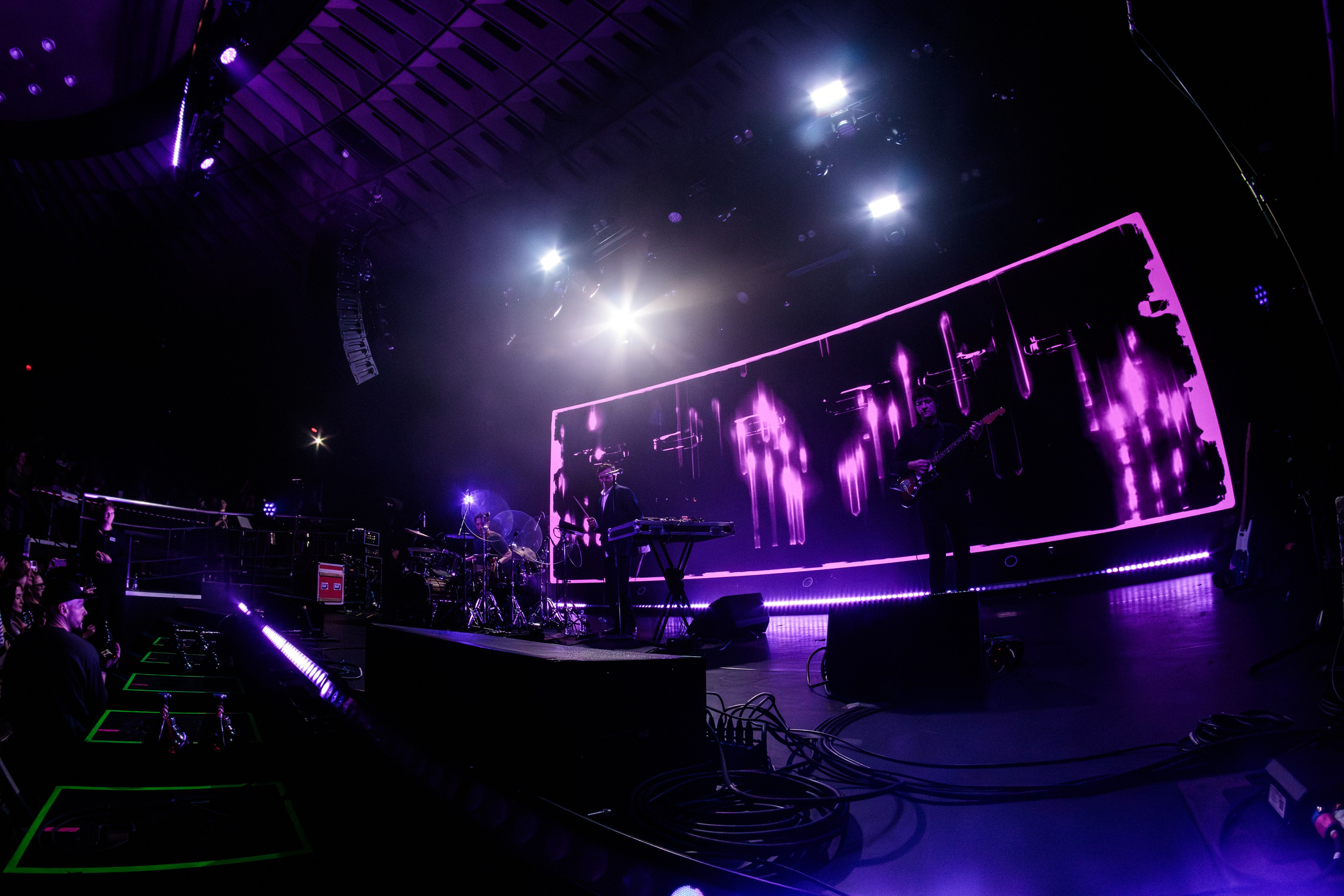 Дельфин. Портретный и концертный фотограф в Санкт-Петербурге Егор Телятников