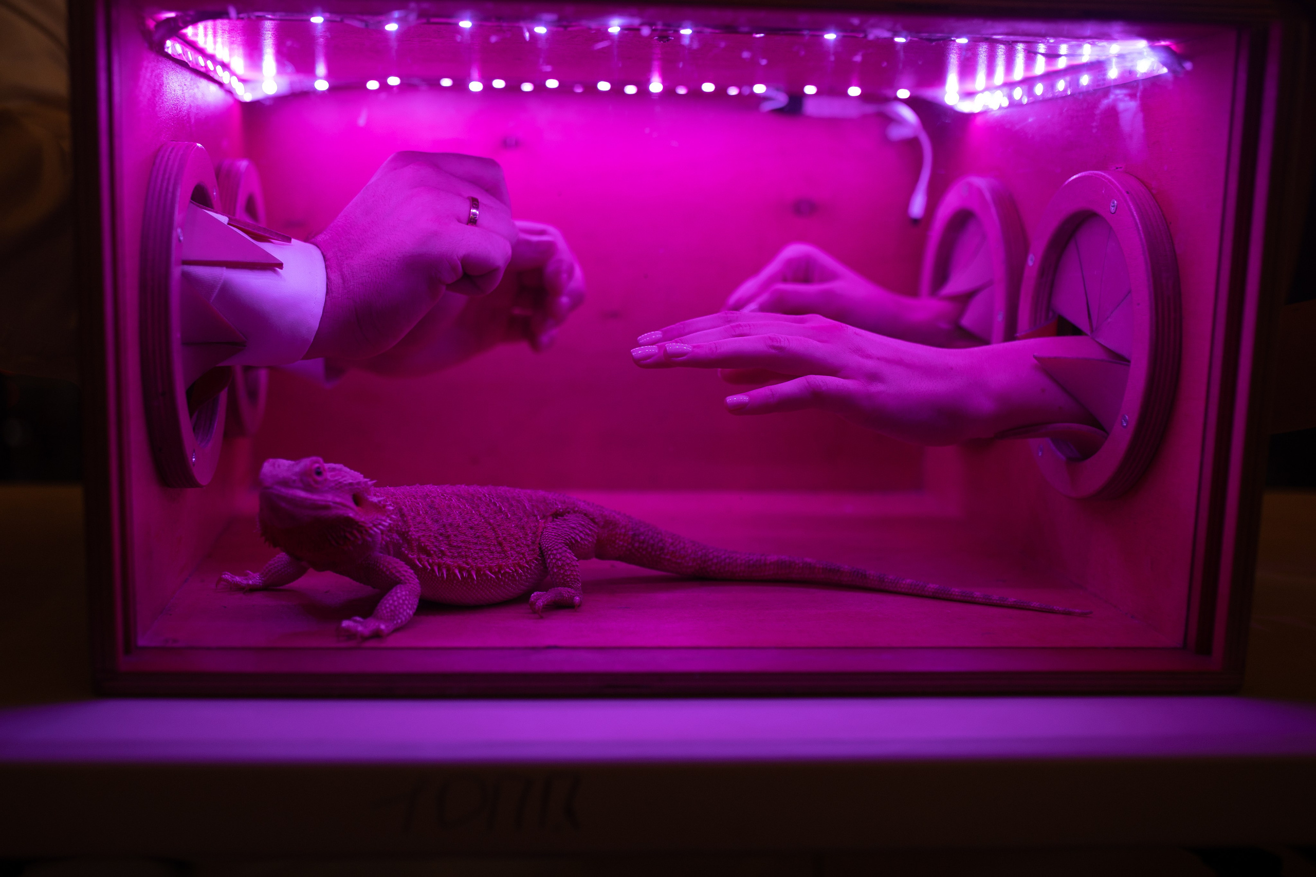 Anastasya/Anton. Свадебный фотограф Павел Князев