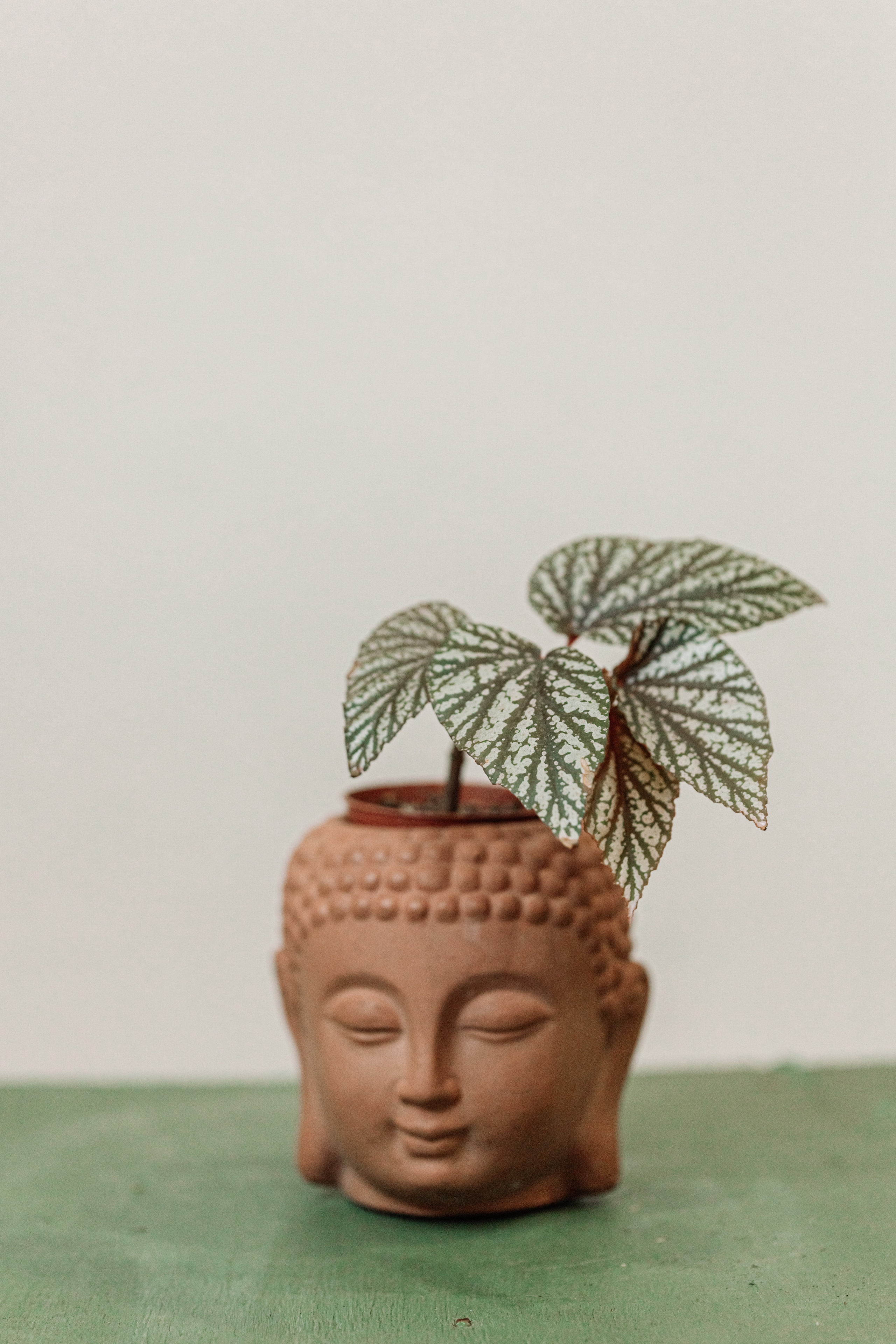 Предметная съёмка. Ozon. WB. Фотограф Олеся Кавлакан