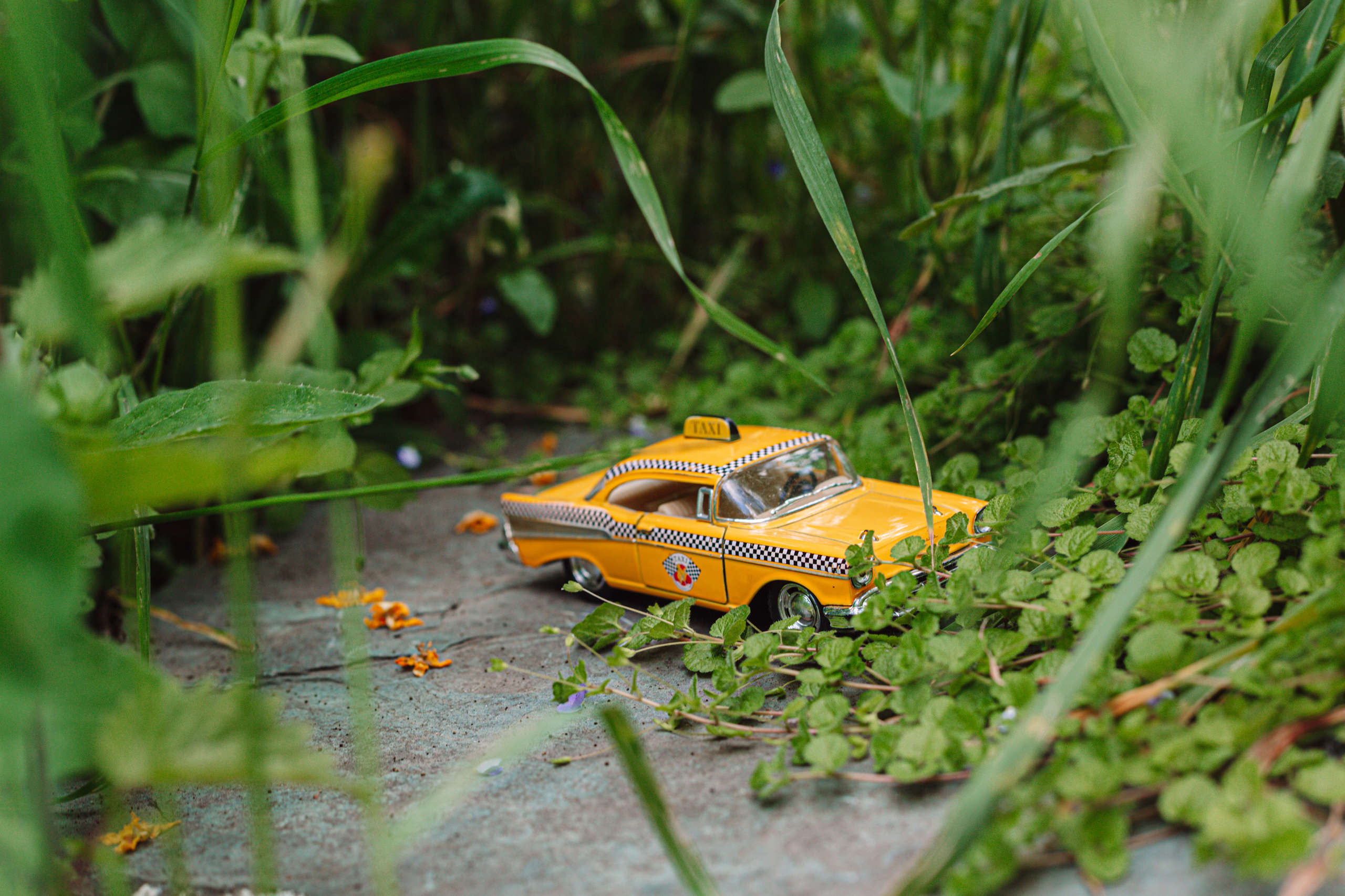 Машины. Фотограф Олеся Кавлакан