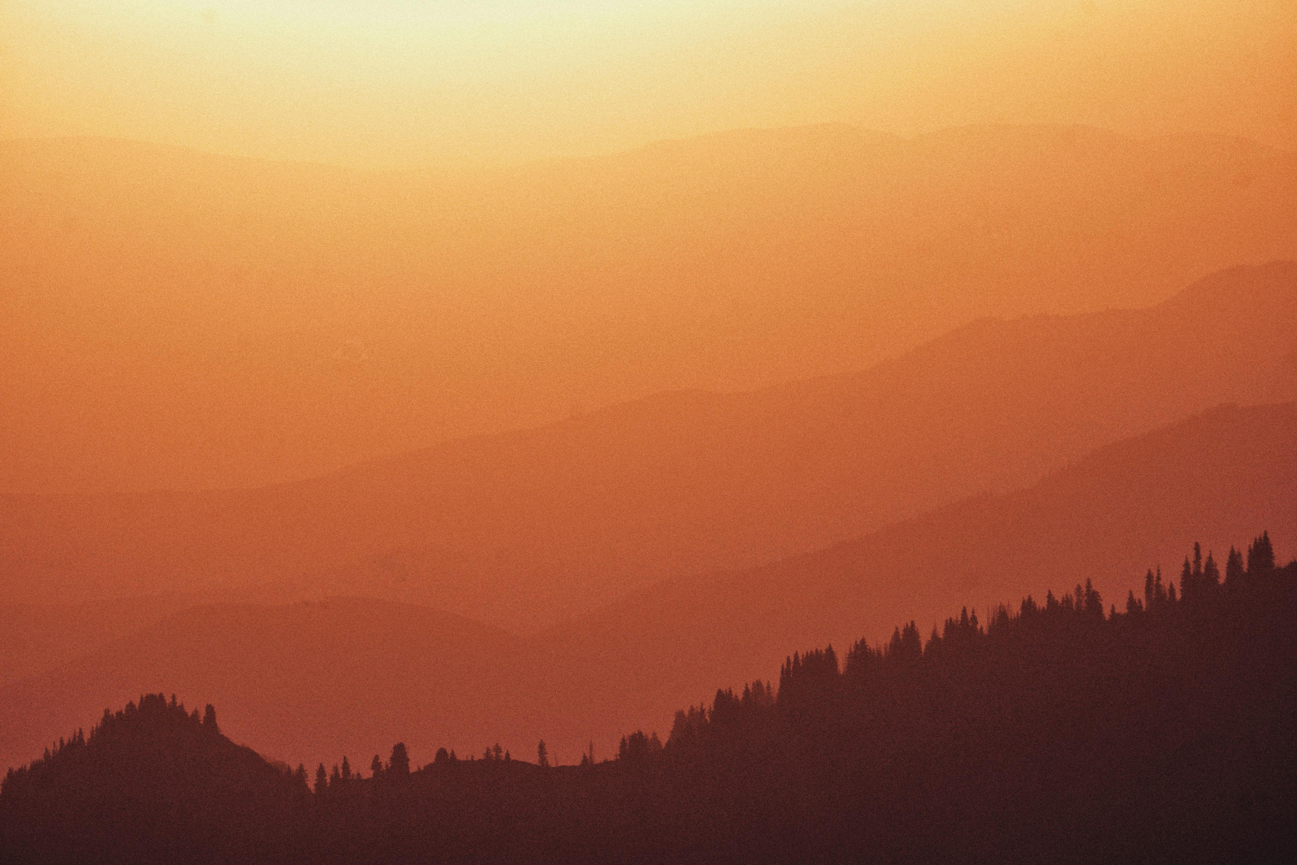 Wallpaper. See the moment and catche. commercial and reportage