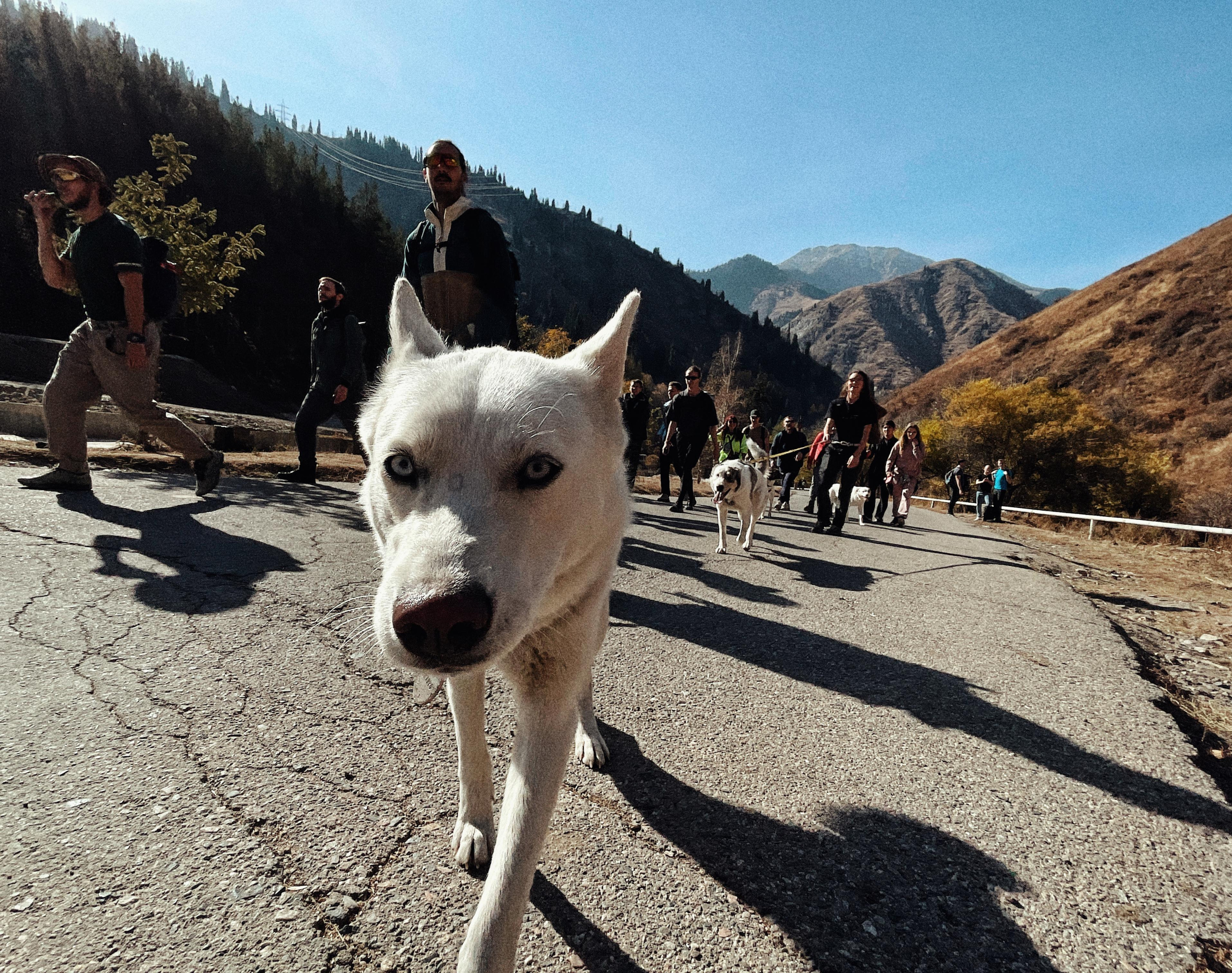 Lifestyle. See the moment and catche. commercial and reportage