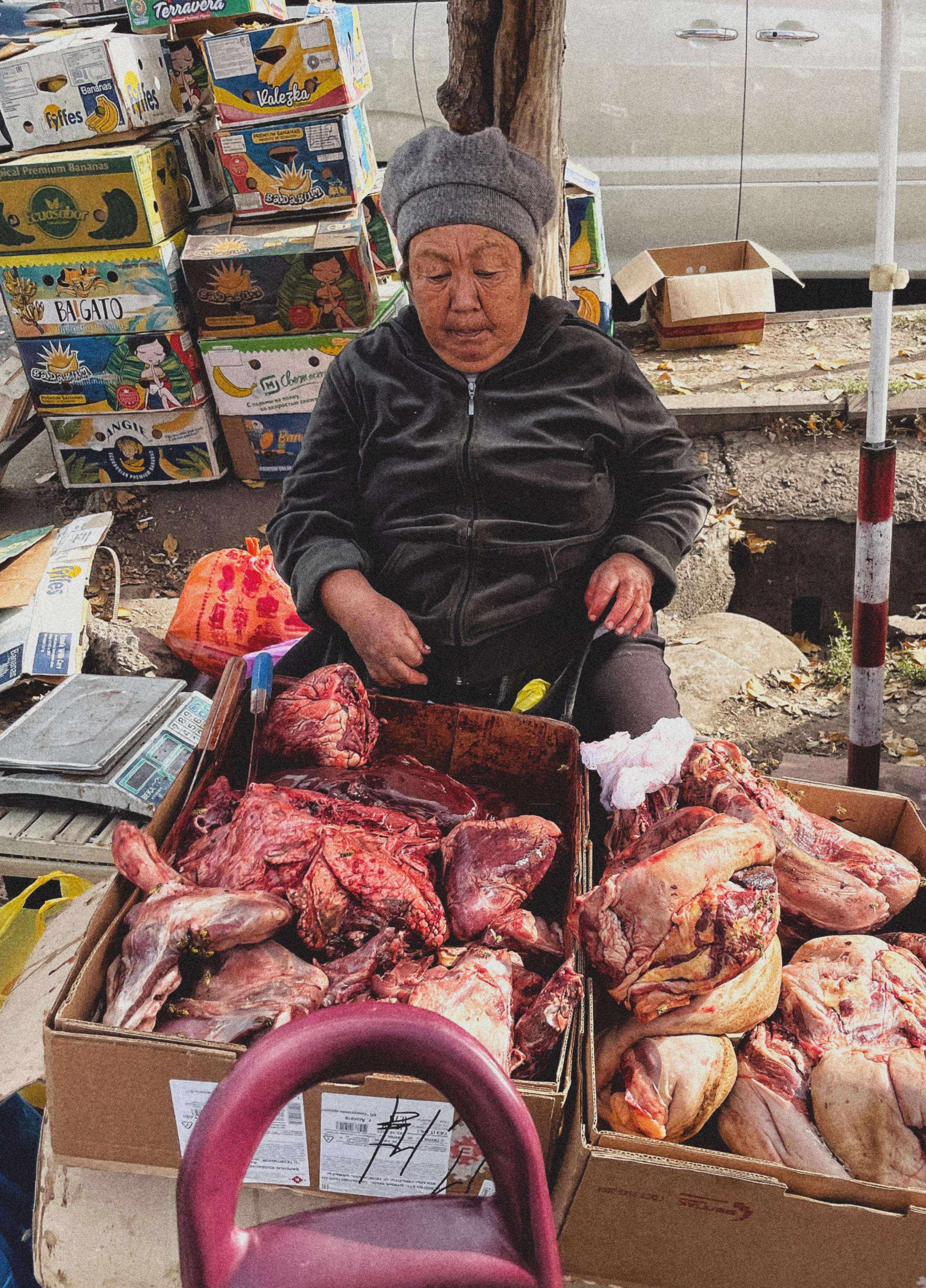 Adventure. See the moment and catche. commercial and reportage