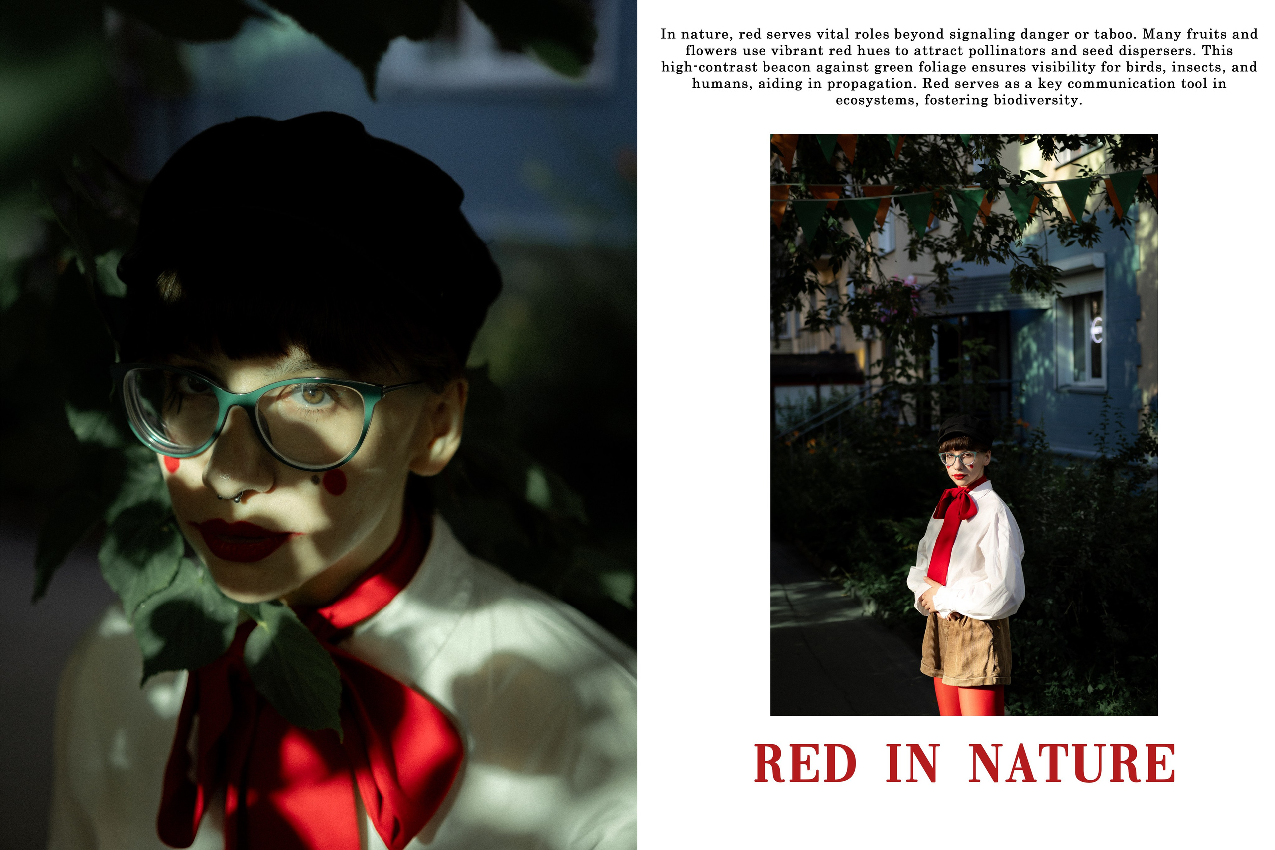 INTO THE RED. BibikIvan