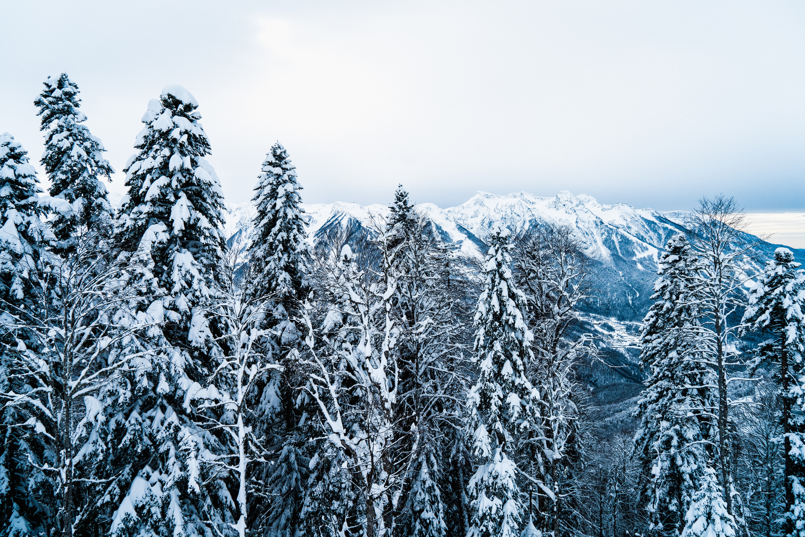 Роза Хутор. Свадебный и семейный фотограф/видеограф в Краснодаре Наталья Осинская