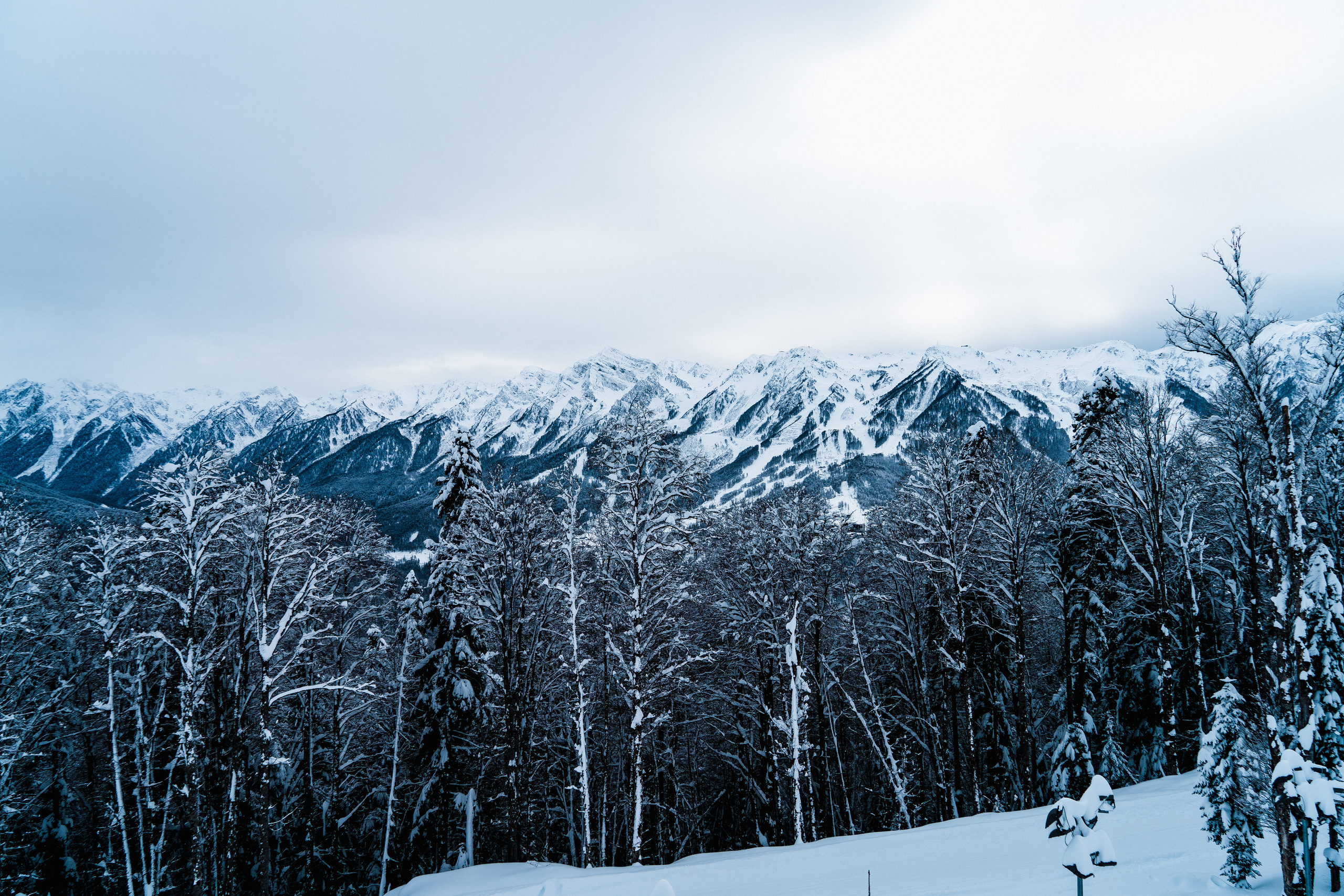 Роза Хутор. Свадебный и семейный фотограф/видеограф в Краснодаре Наталья Осинская