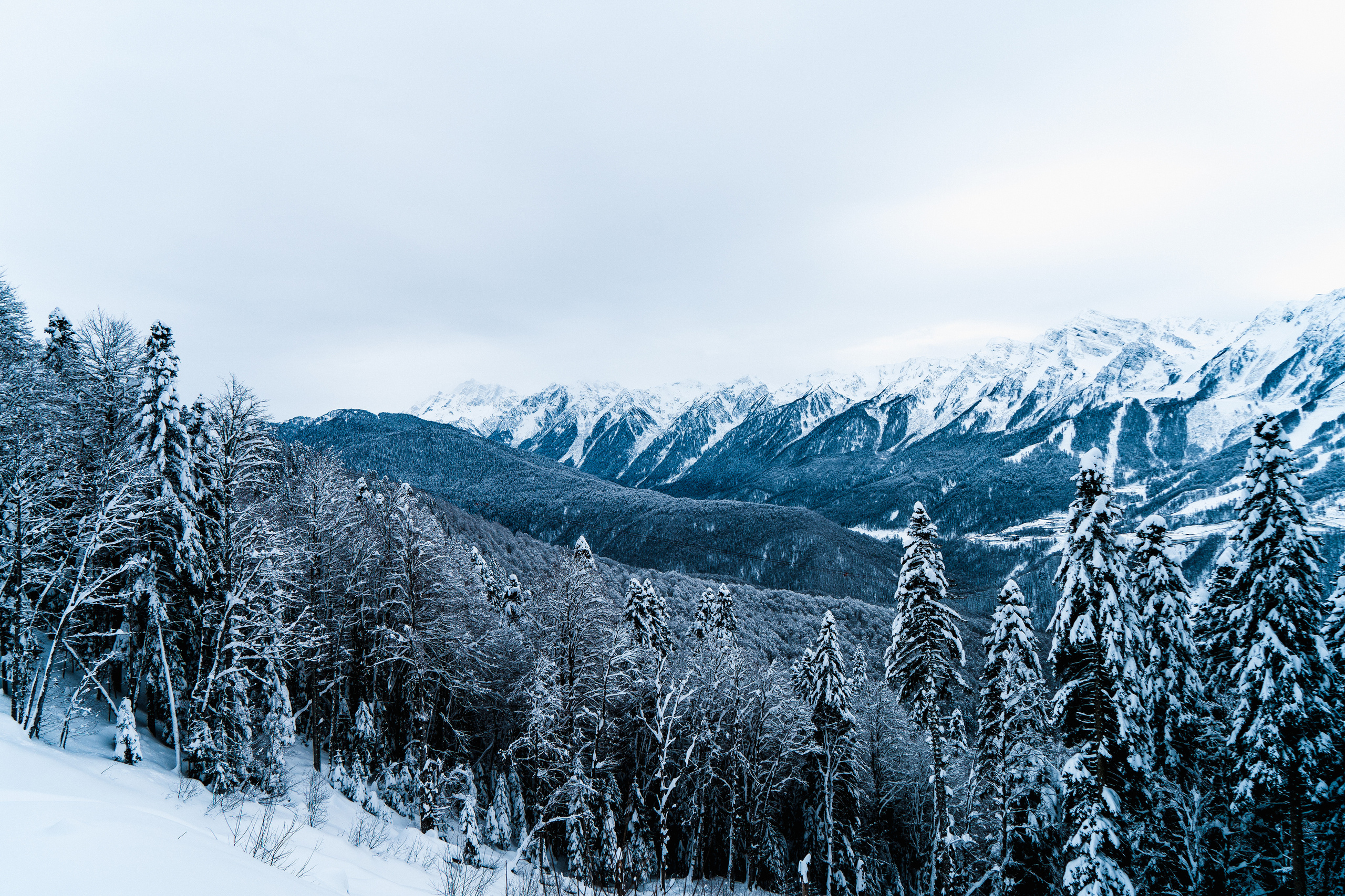 Роза Хутор. Свадебный и семейный фотограф/видеограф в Краснодаре Наталья Осинская