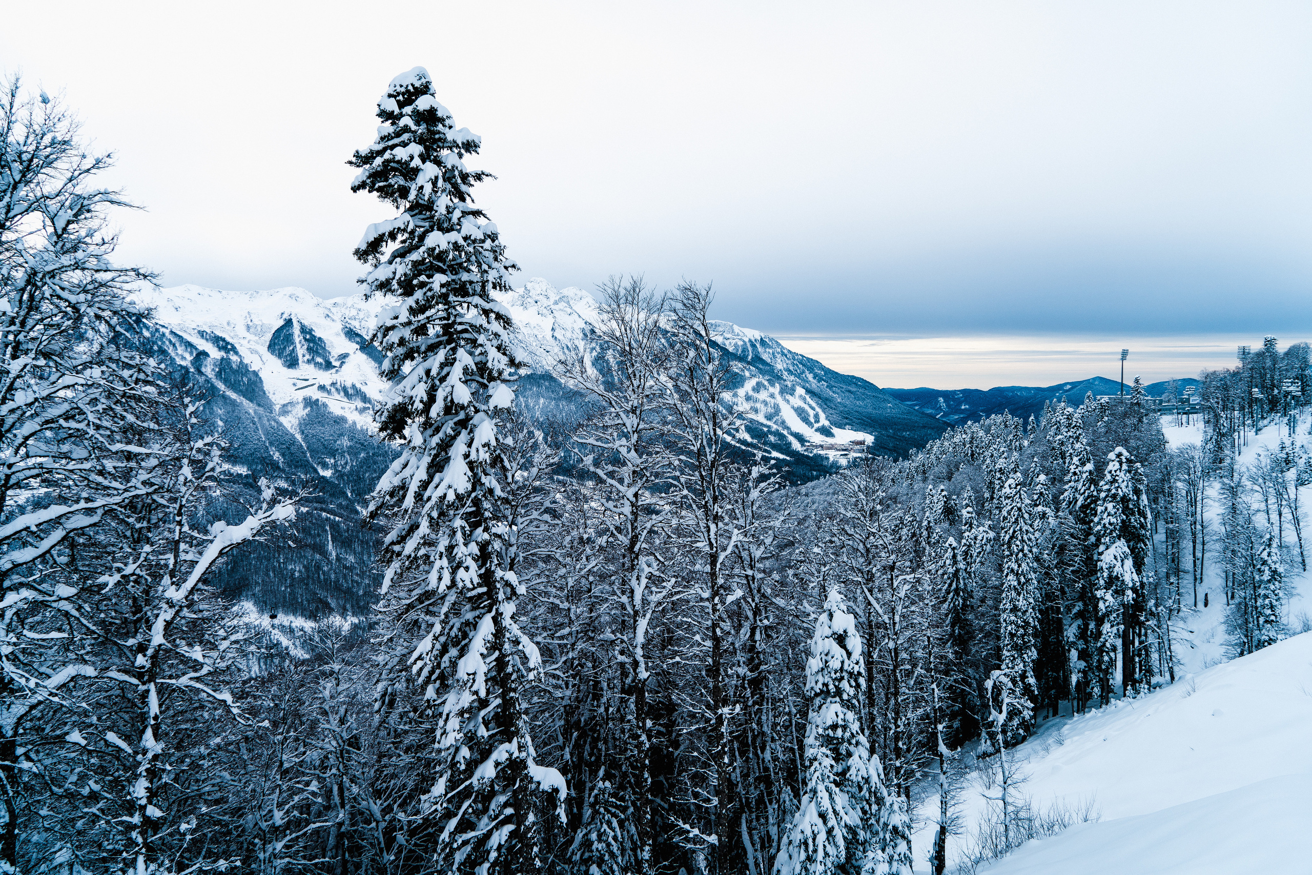 Роза Хутор. Свадебный и семейный фотограф/видеограф в Краснодаре Наталья Осинская