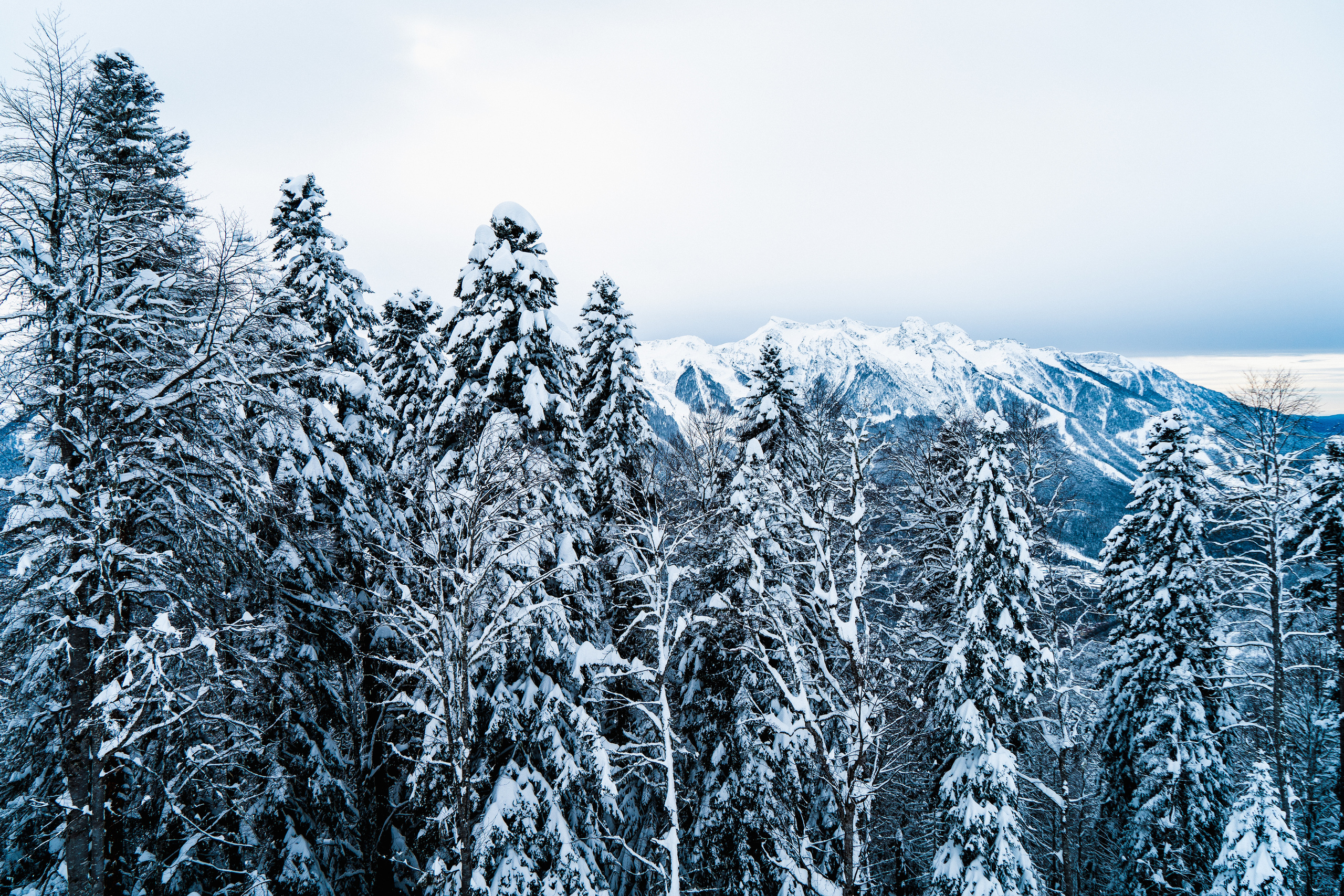 Роза Хутор. Свадебный и семейный фотограф/видеограф в Краснодаре Наталья Осинская