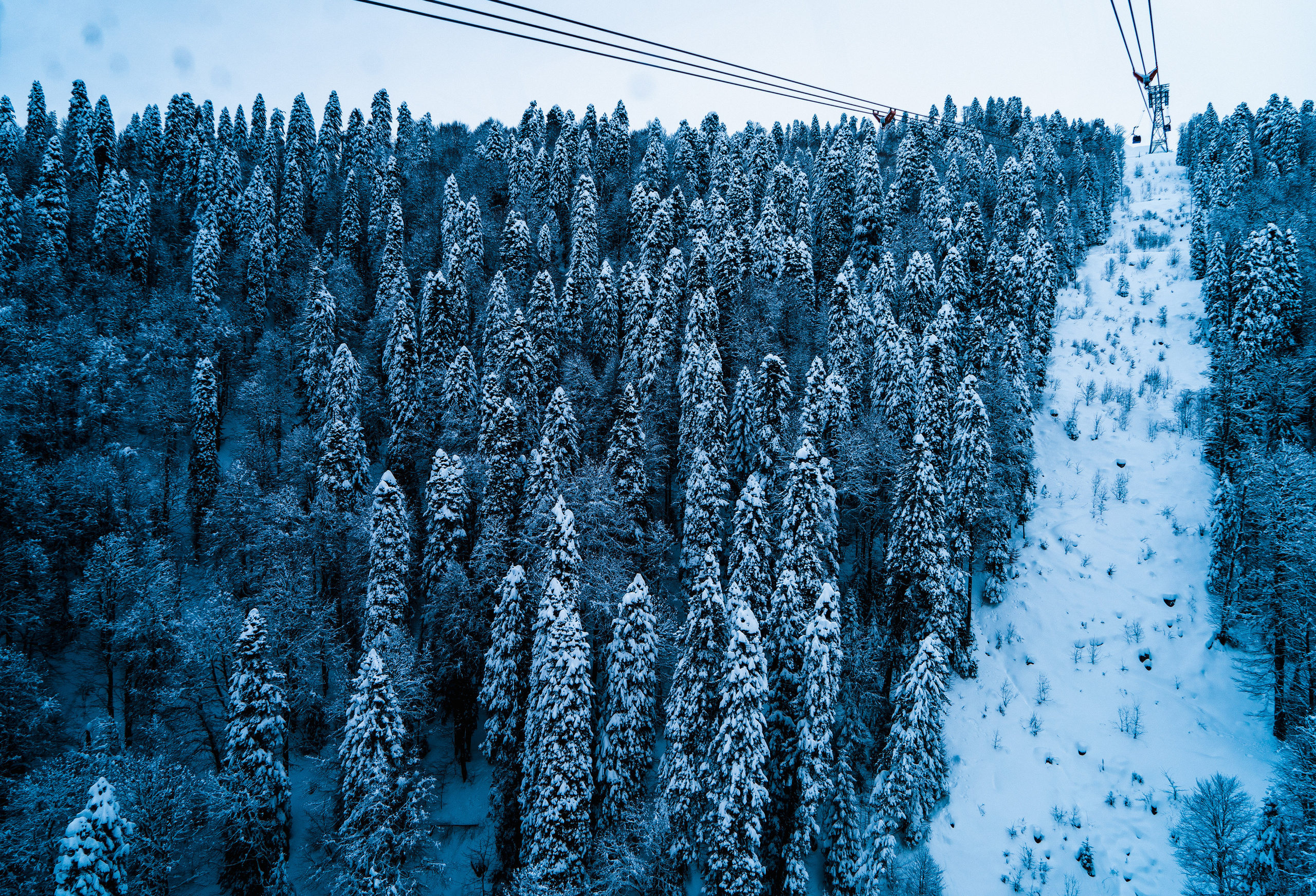 Роза Хутор. Свадебный и семейный фотограф/видеограф в Краснодаре Наталья Осинская