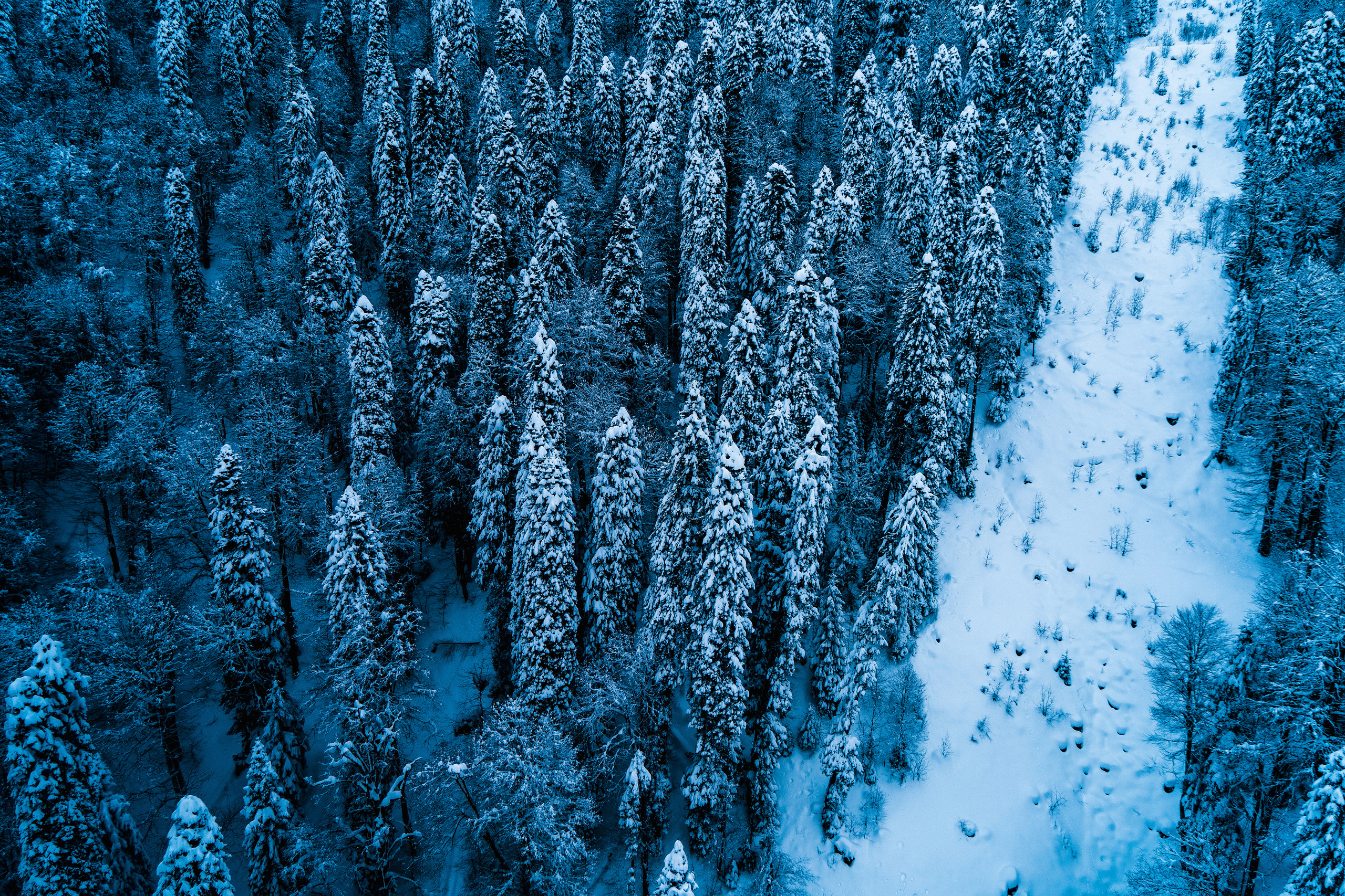 Роза Хутор. Свадебный и семейный фотограф/видеограф в Краснодаре Наталья Осинская
