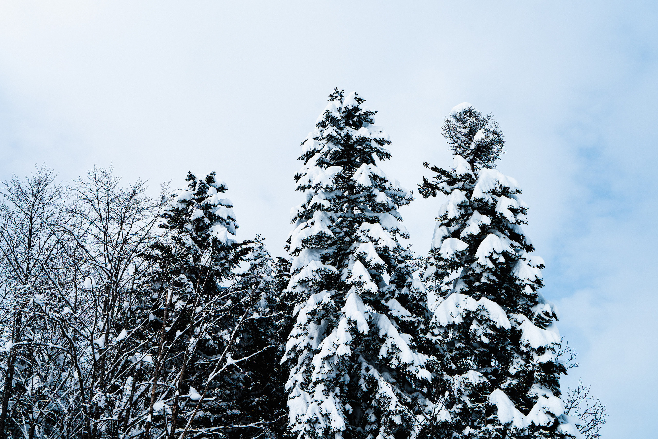 Роза Хутор. Свадебный и семейный фотограф/видеограф в Краснодаре Наталья Осинская