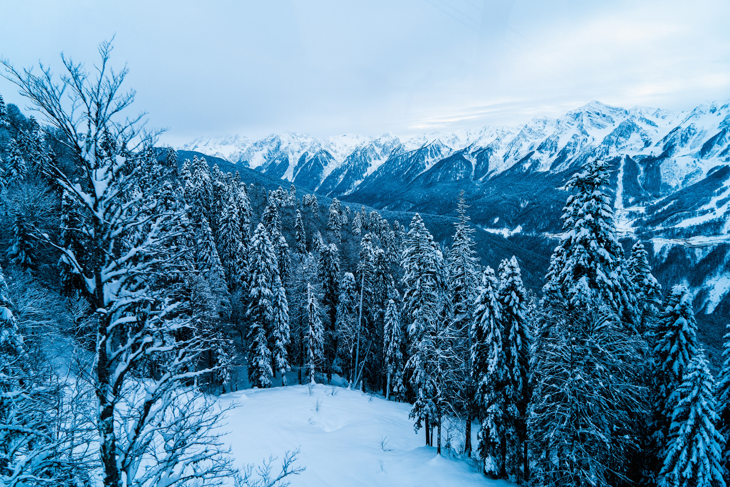 Роза Хутор. Свадебный и семейный фотограф/видеограф в Краснодаре Наталья Осинская