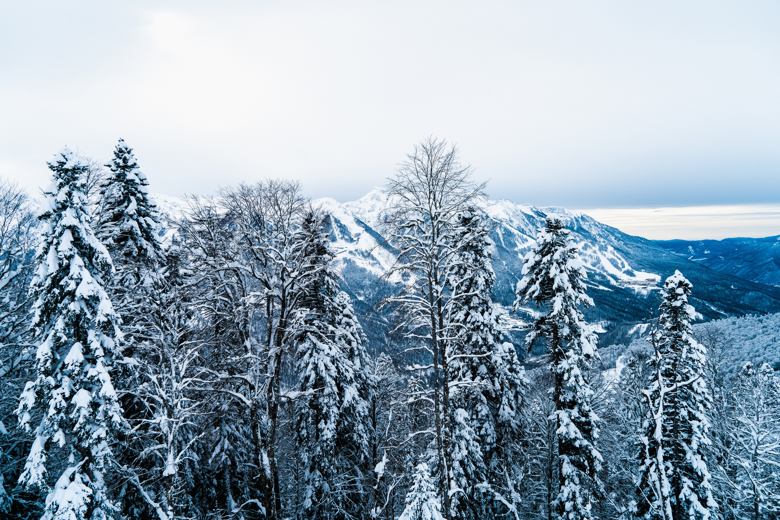 Роза Хутор. Свадебный и семейный фотограф/видеограф в Краснодаре Наталья Осинская
