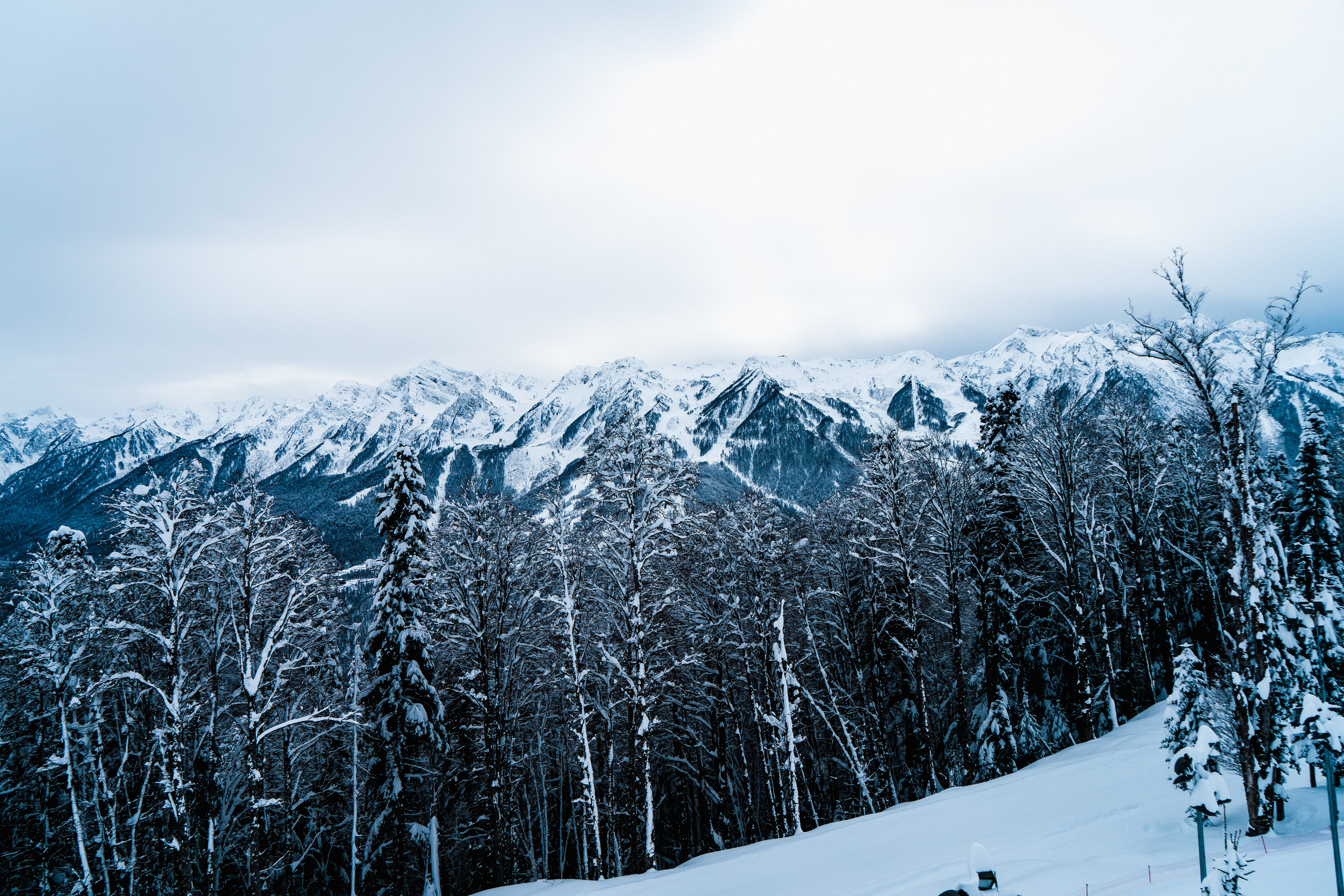 Роза Хутор. Свадебный и семейный фотограф/видеограф в Краснодаре Наталья Осинская