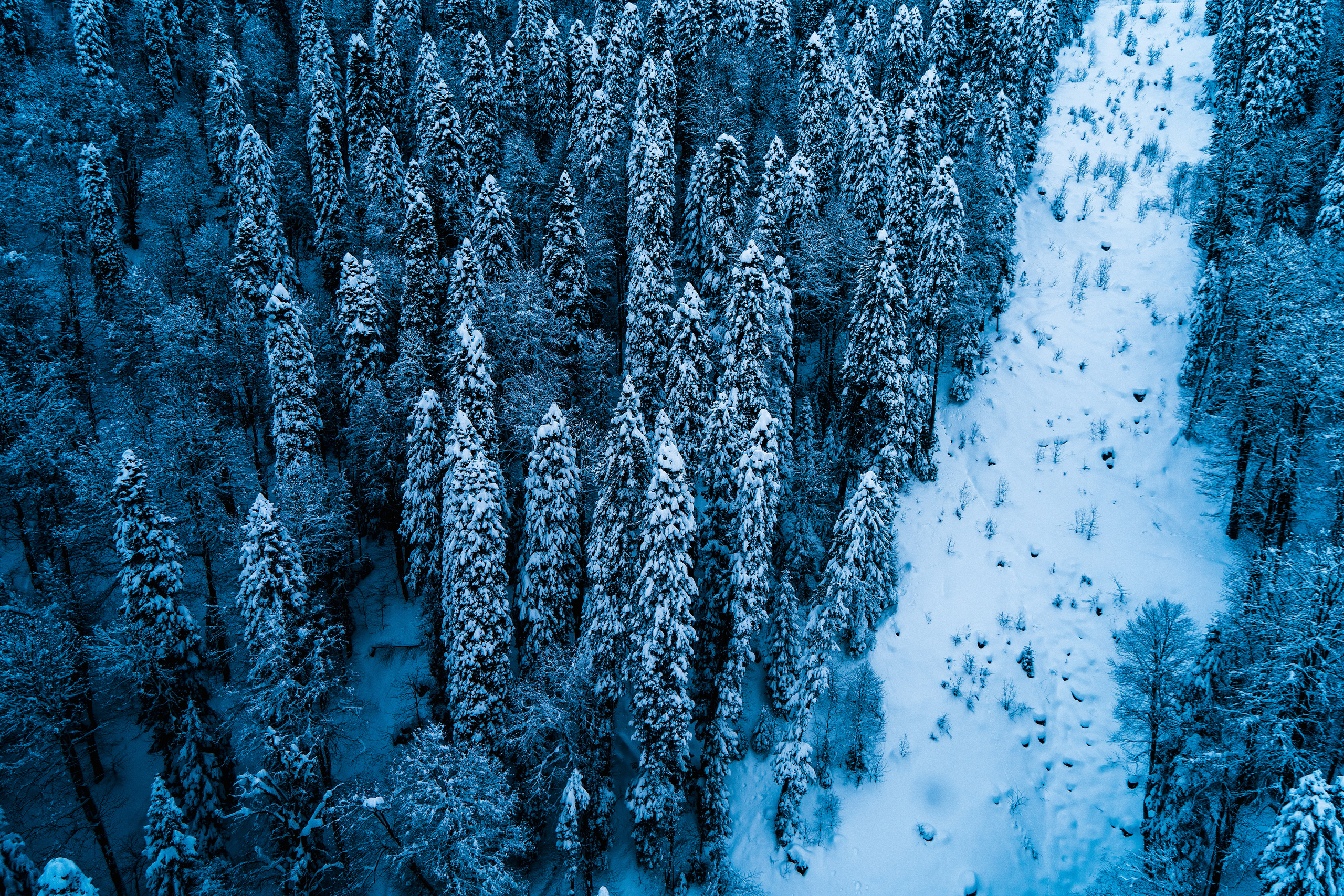 Роза Хутор. Свадебный и семейный фотограф/видеограф в Краснодаре Наталья Осинская