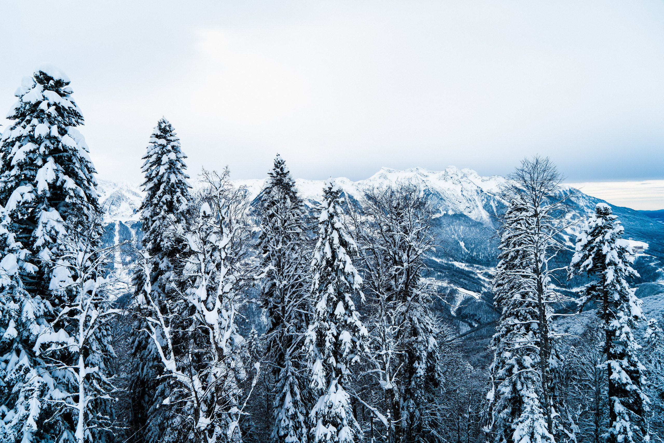 Роза Хутор. Свадебный и семейный фотограф/видеограф в Краснодаре Наталья Осинская