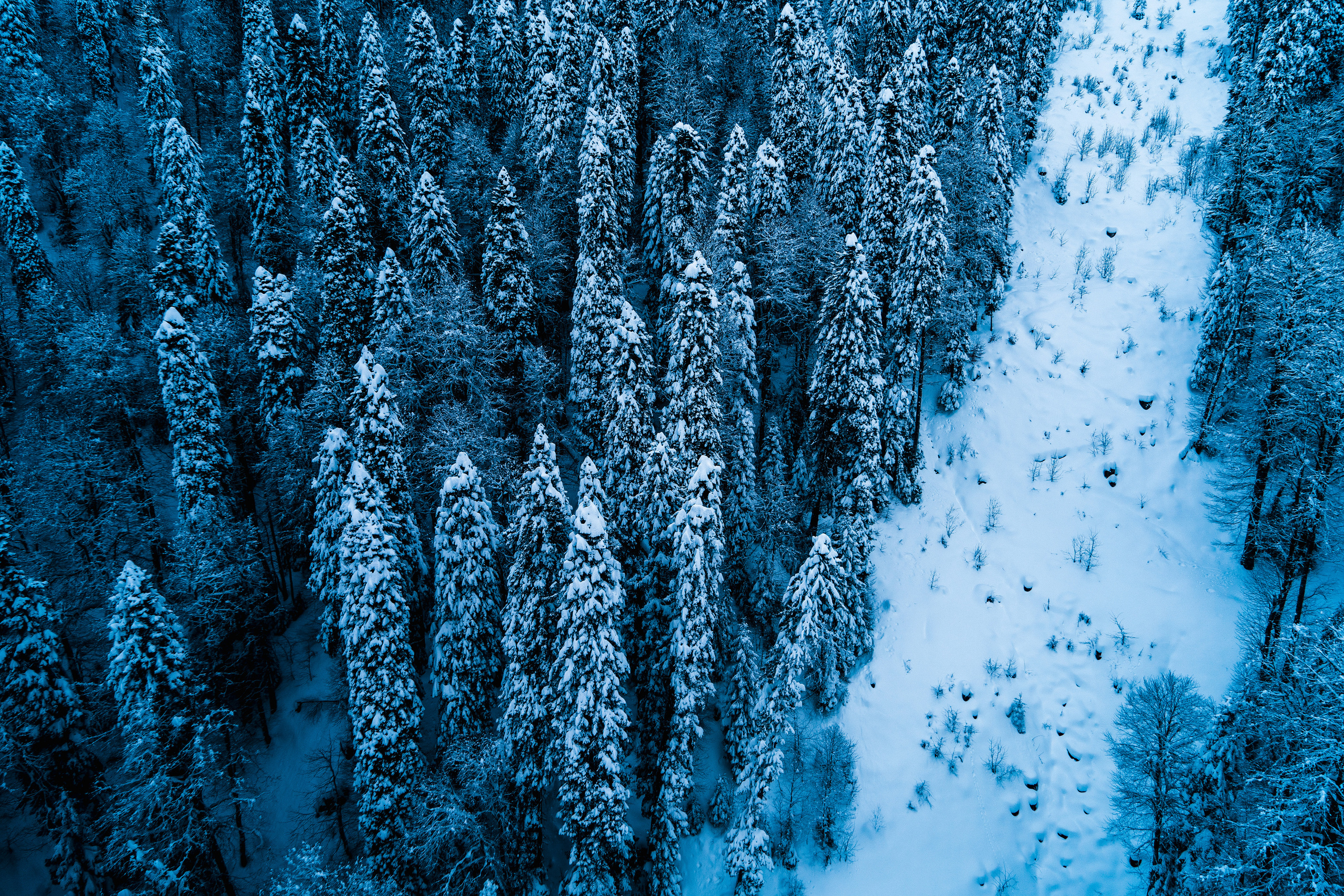 Роза Хутор. Свадебный и семейный фотограф/видеограф в Краснодаре Наталья Осинская