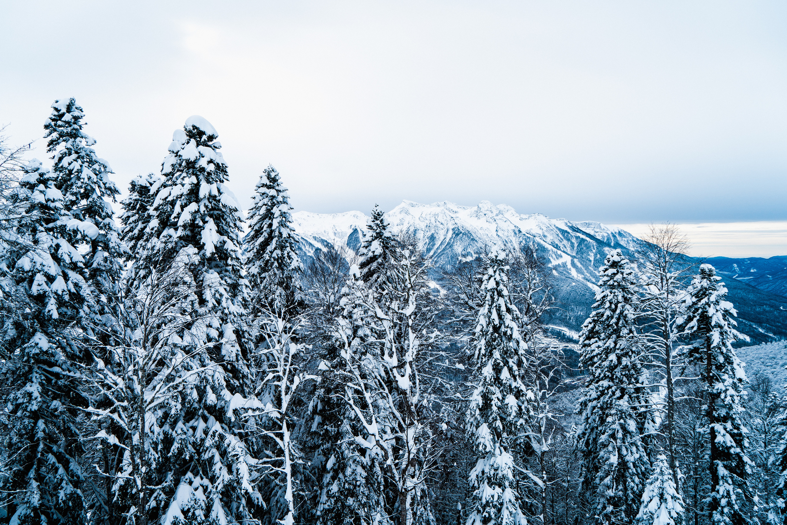 Роза Хутор. Свадебный и семейный фотограф/видеограф в Краснодаре Наталья Осинская
