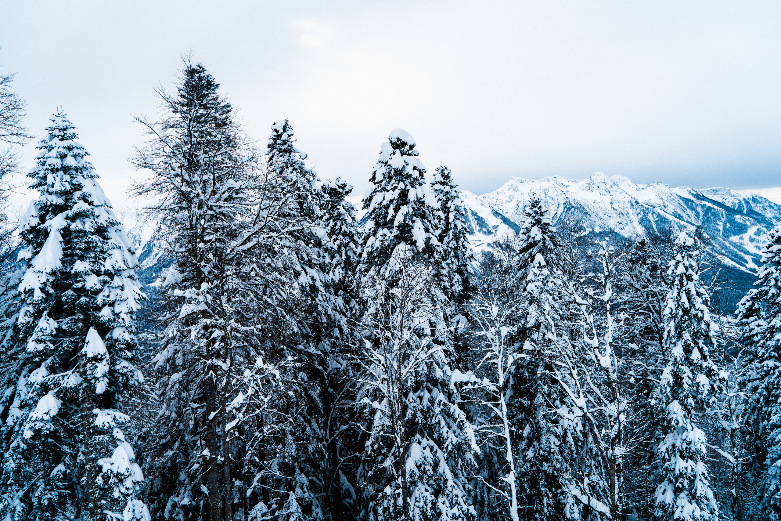Роза Хутор. Свадебный и семейный фотограф/видеограф в Краснодаре Наталья Осинская