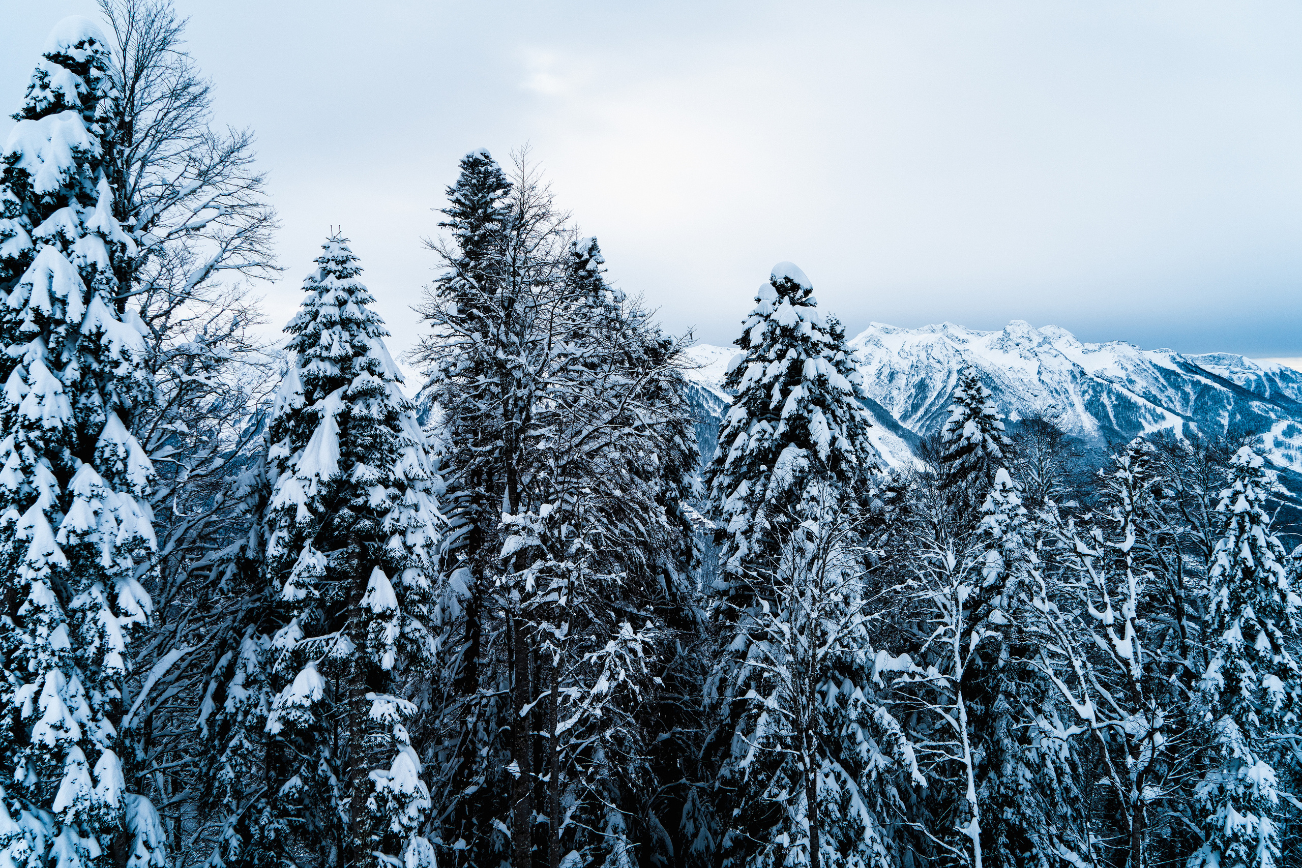 Роза Хутор. Свадебный и семейный фотограф/видеограф в Краснодаре Наталья Осинская