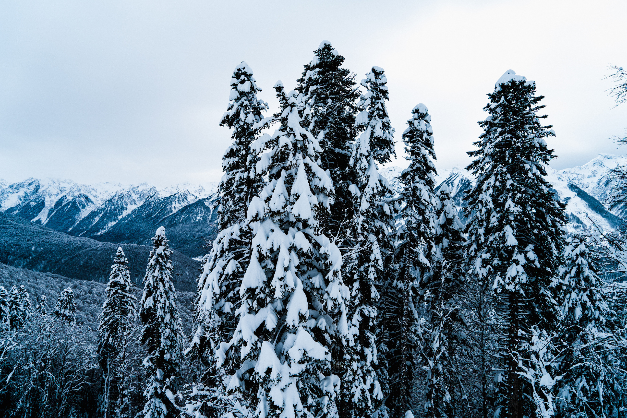 Роза Хутор. Свадебный и семейный фотограф/видеограф в Краснодаре Наталья Осинская