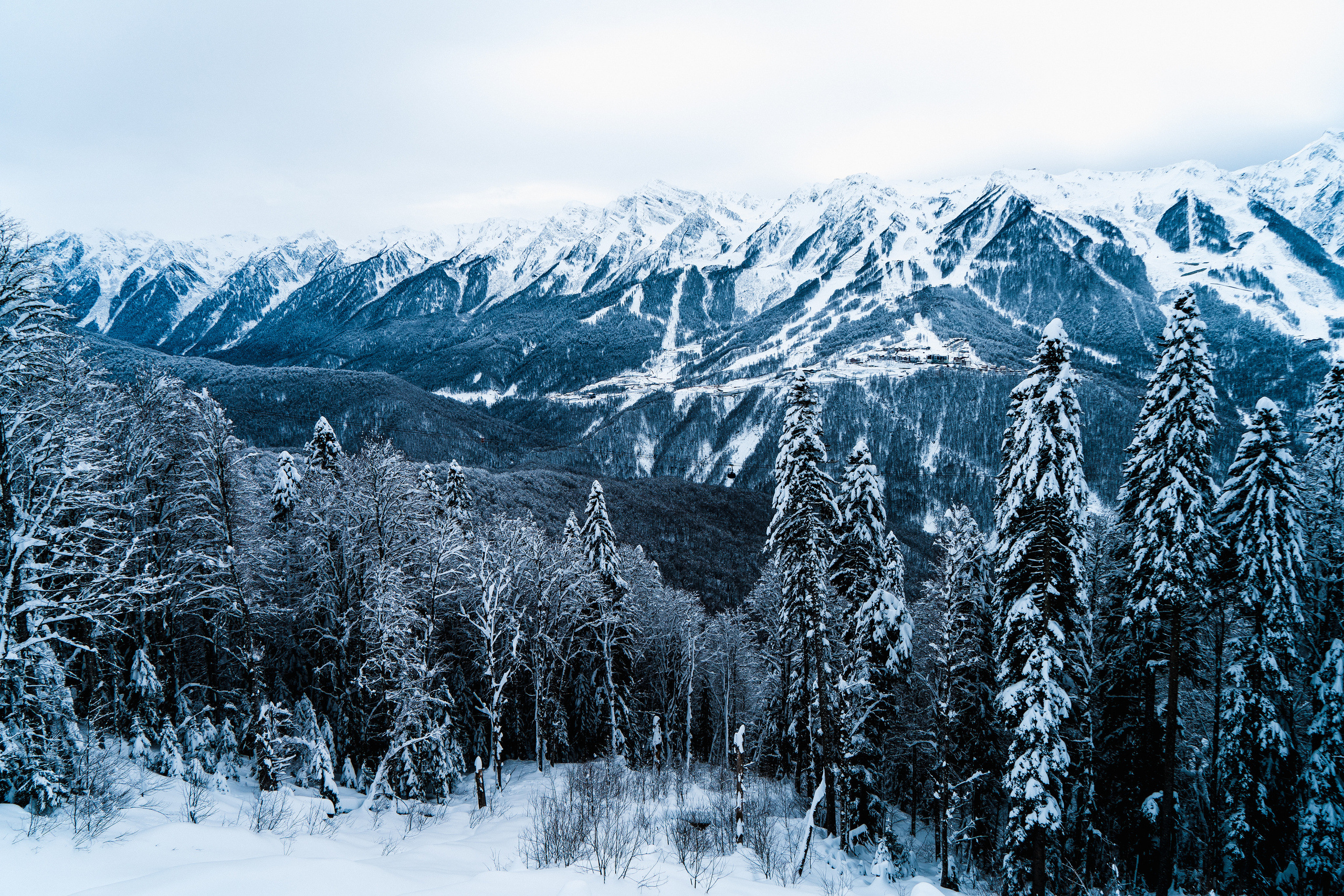 Роза Хутор. Свадебный и семейный фотограф/видеограф в Краснодаре Наталья Осинская