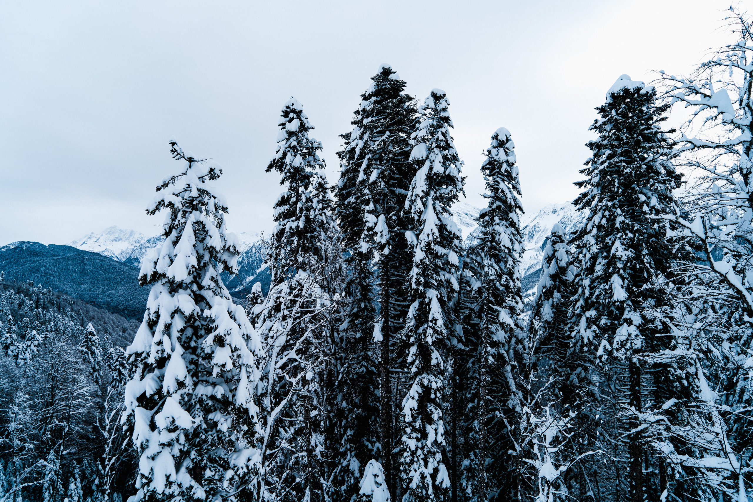 Роза Хутор. Свадебный и семейный фотограф/видеограф в Краснодаре Наталья Осинская