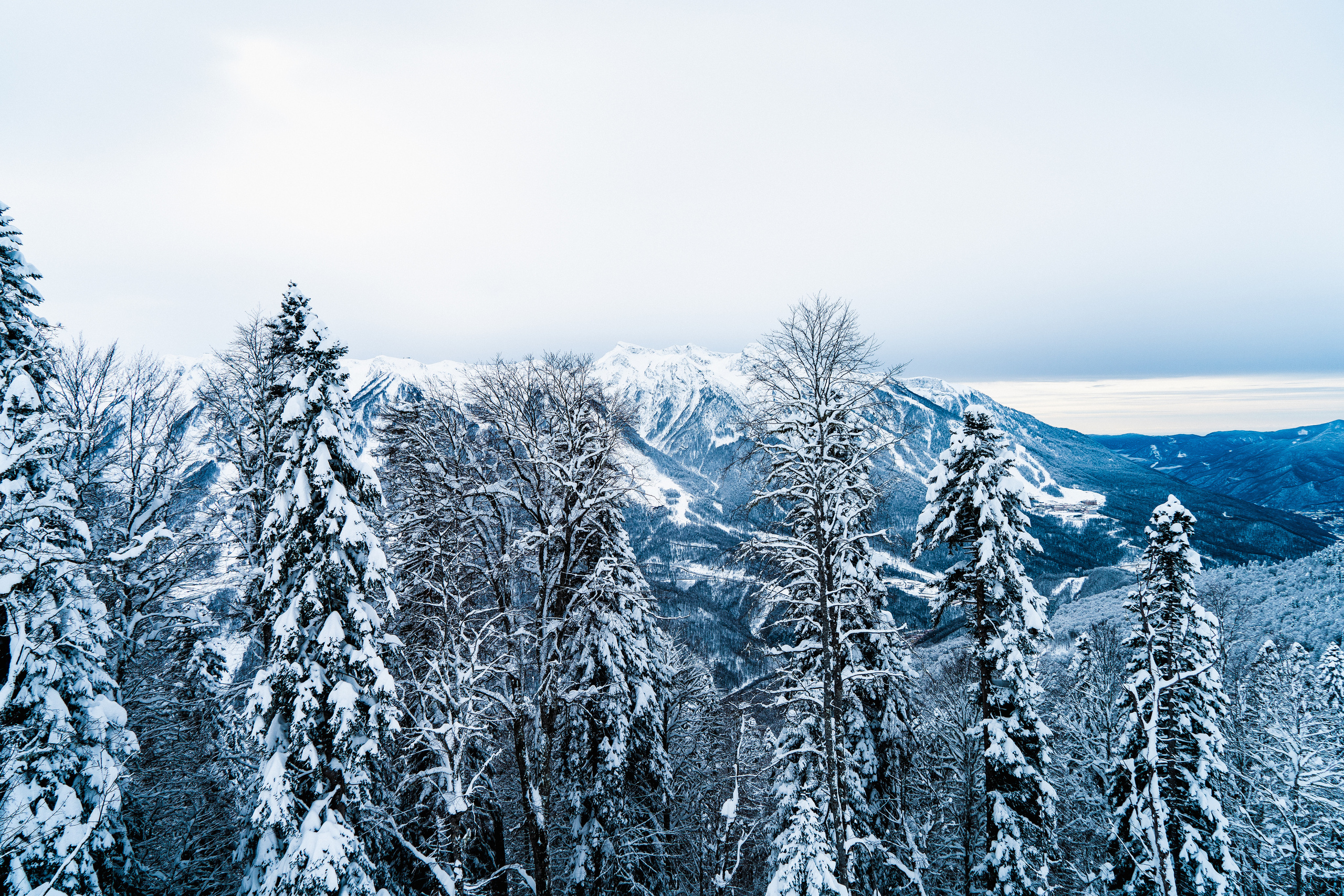 Роза Хутор. Свадебный и семейный фотограф/видеограф в Краснодаре Наталья Осинская