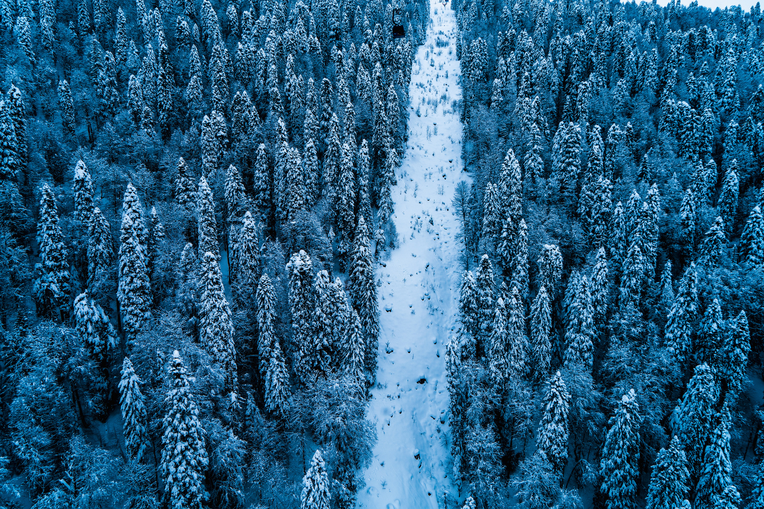 Роза Хутор. Свадебный и семейный фотограф/видеограф в Краснодаре Наталья Осинская