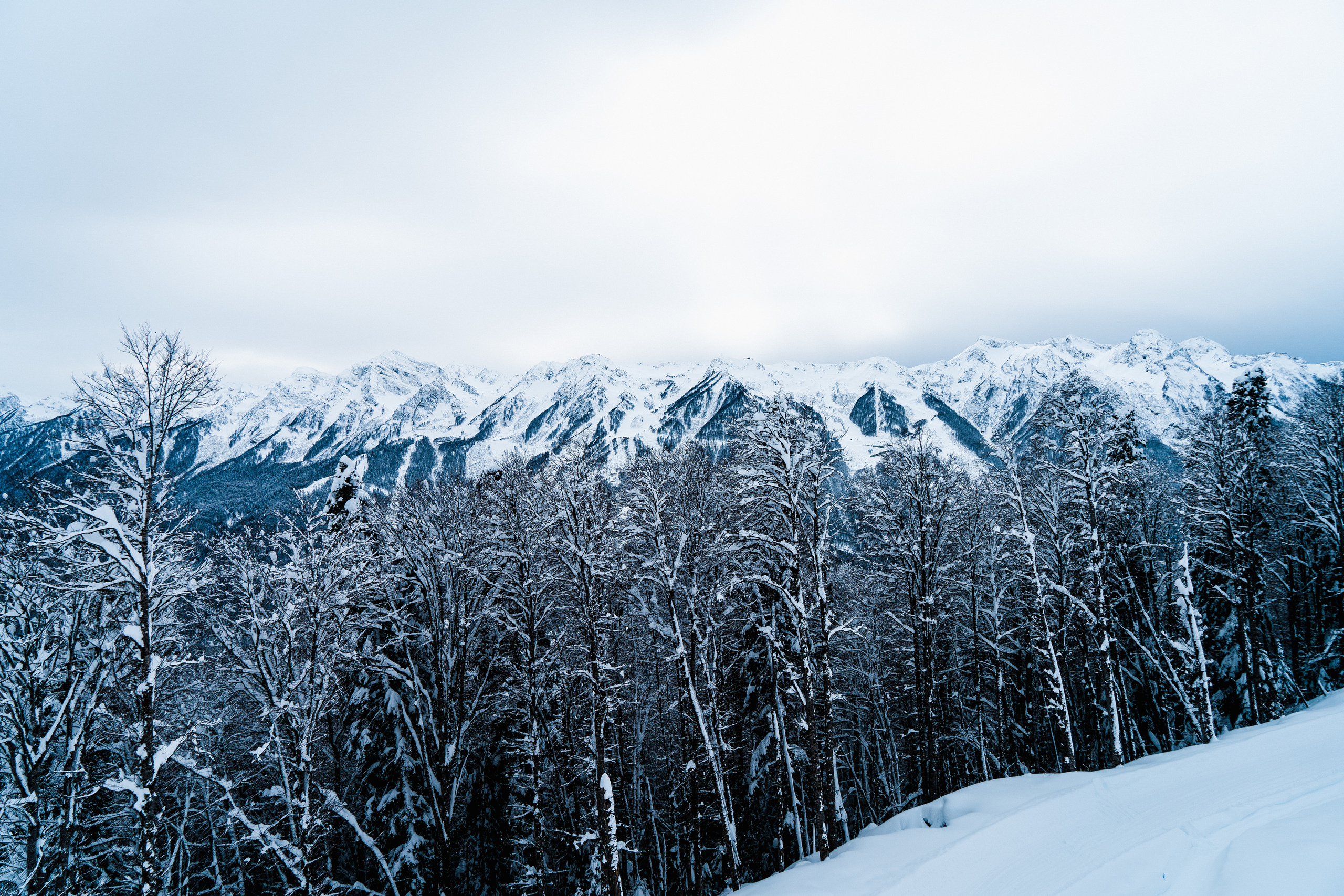 Роза Хутор. Свадебный и семейный фотограф/видеограф в Краснодаре Наталья Осинская