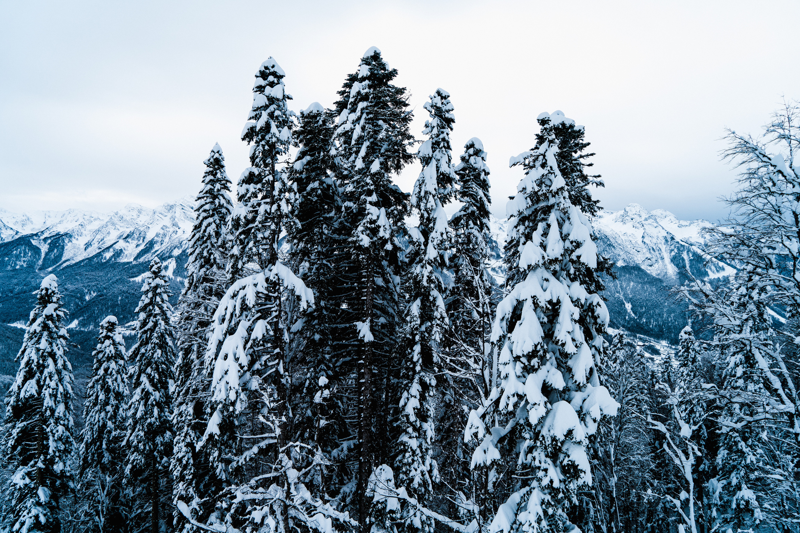 Роза Хутор. Свадебный и семейный фотограф/видеограф в Краснодаре Наталья Осинская