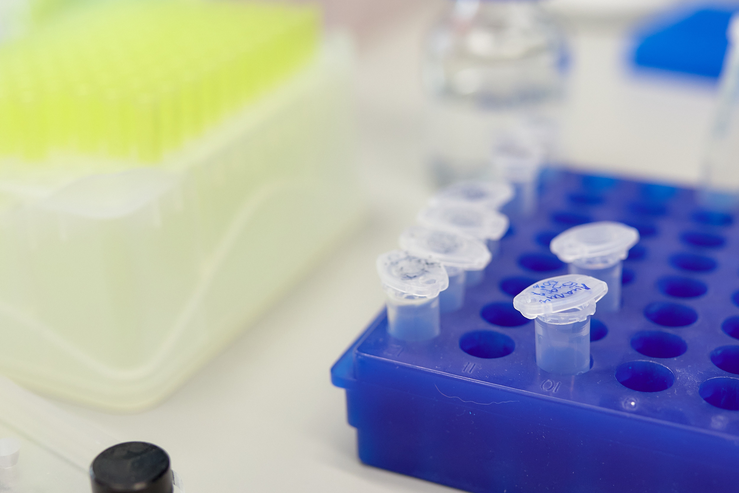 Лаборатории ДВФУ. Репортажный фотограф Владивосток Анастасия Сокольникова