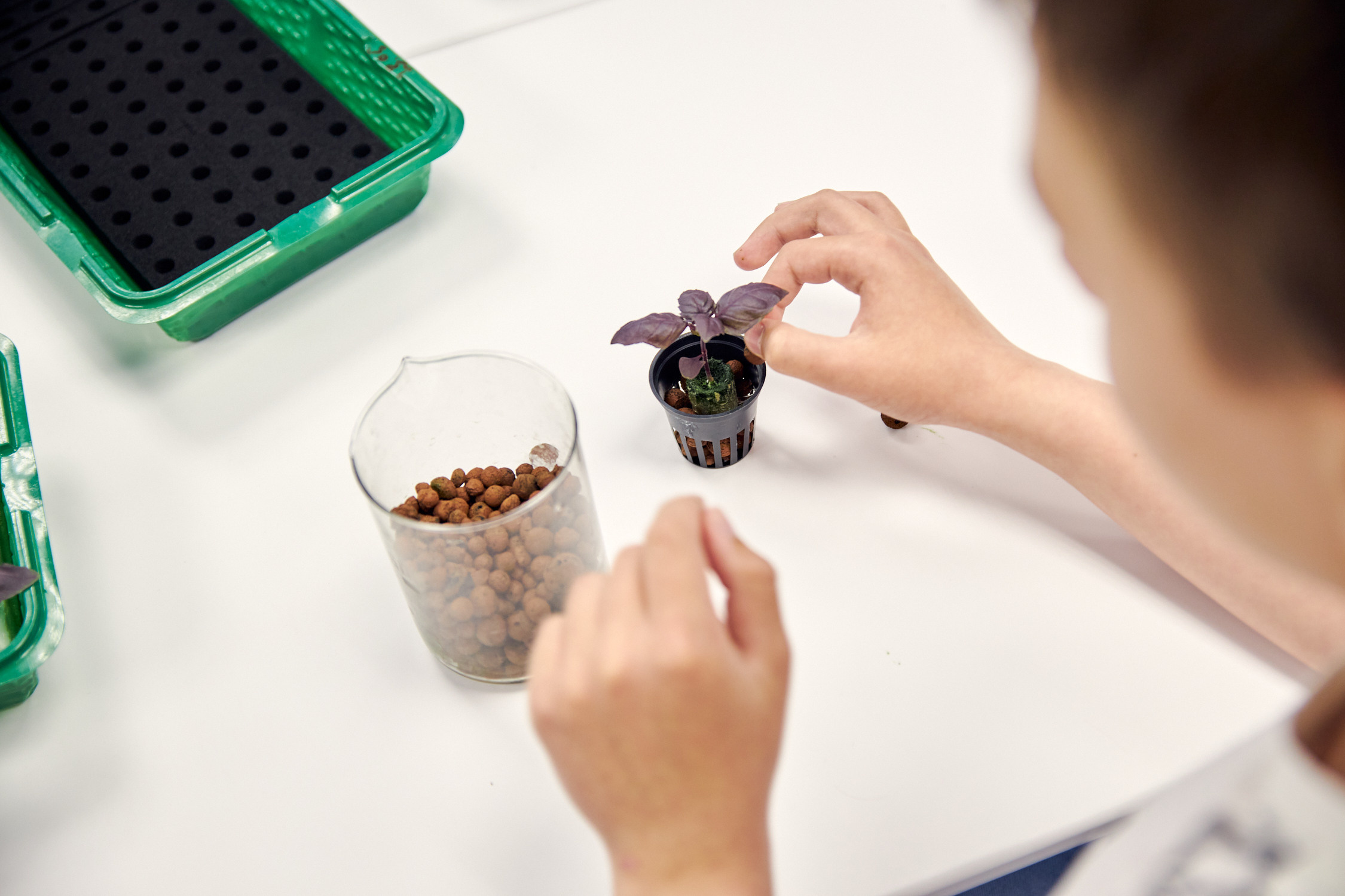 ДВФУ образование 2022. Репортажный фотограф Владивосток Анастасия Сокольникова