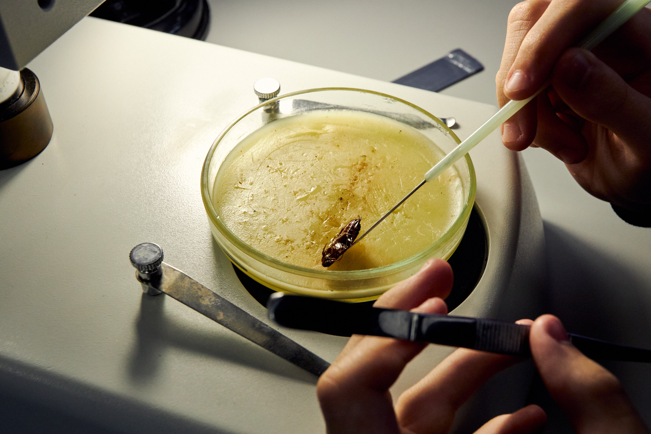 ДВФУ образование 2022. Репортажный фотограф Владивосток Анастасия Сокольникова