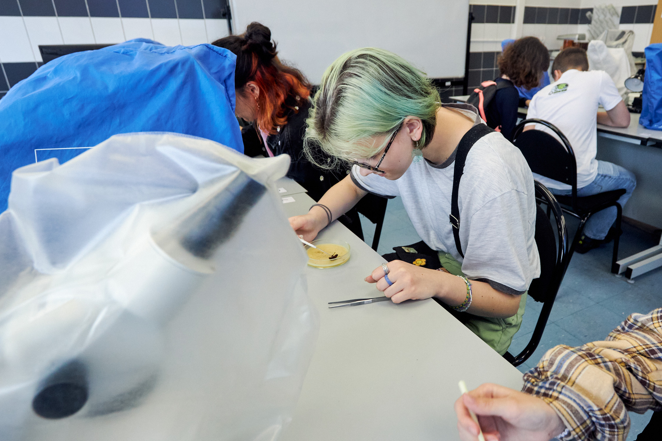 ДВФУ образование 2022. Репортажный фотограф Владивосток Анастасия Сокольникова